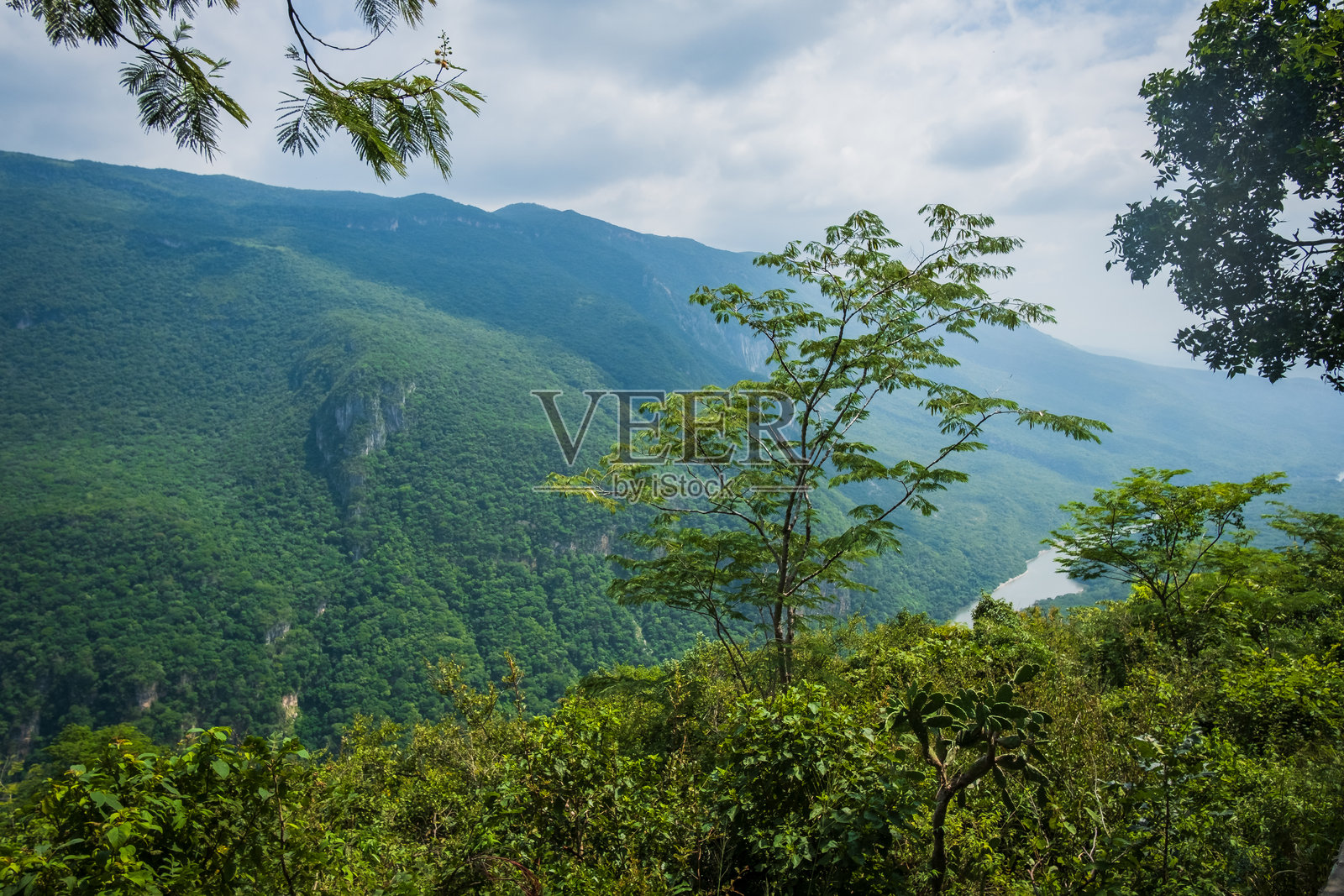 墨西哥恰帕斯州苏米德罗峡谷的航拍图，壮观的峡谷峭壁耸立在格里哈尔瓦河之上，郁郁葱葱的热带植被和令人惊叹的自然风光照片摄影图片