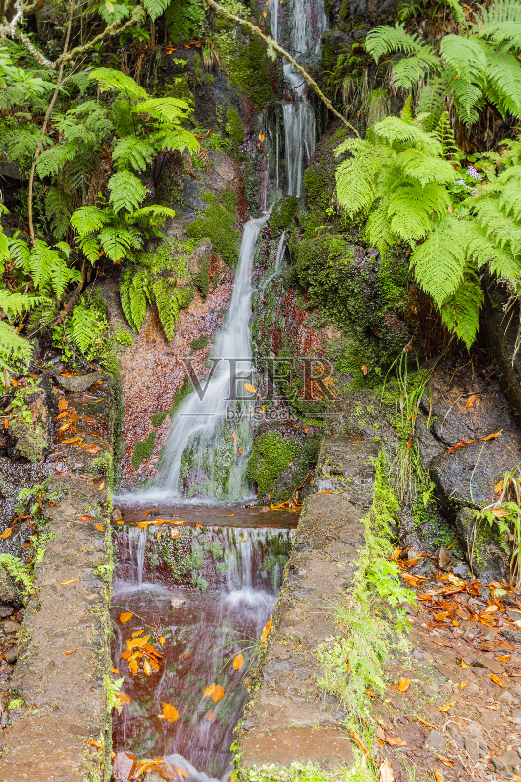 雷瓦达杜里斯科，山间小径，灌溉渠维护小径，马德拉，葡萄牙照片摄影图片