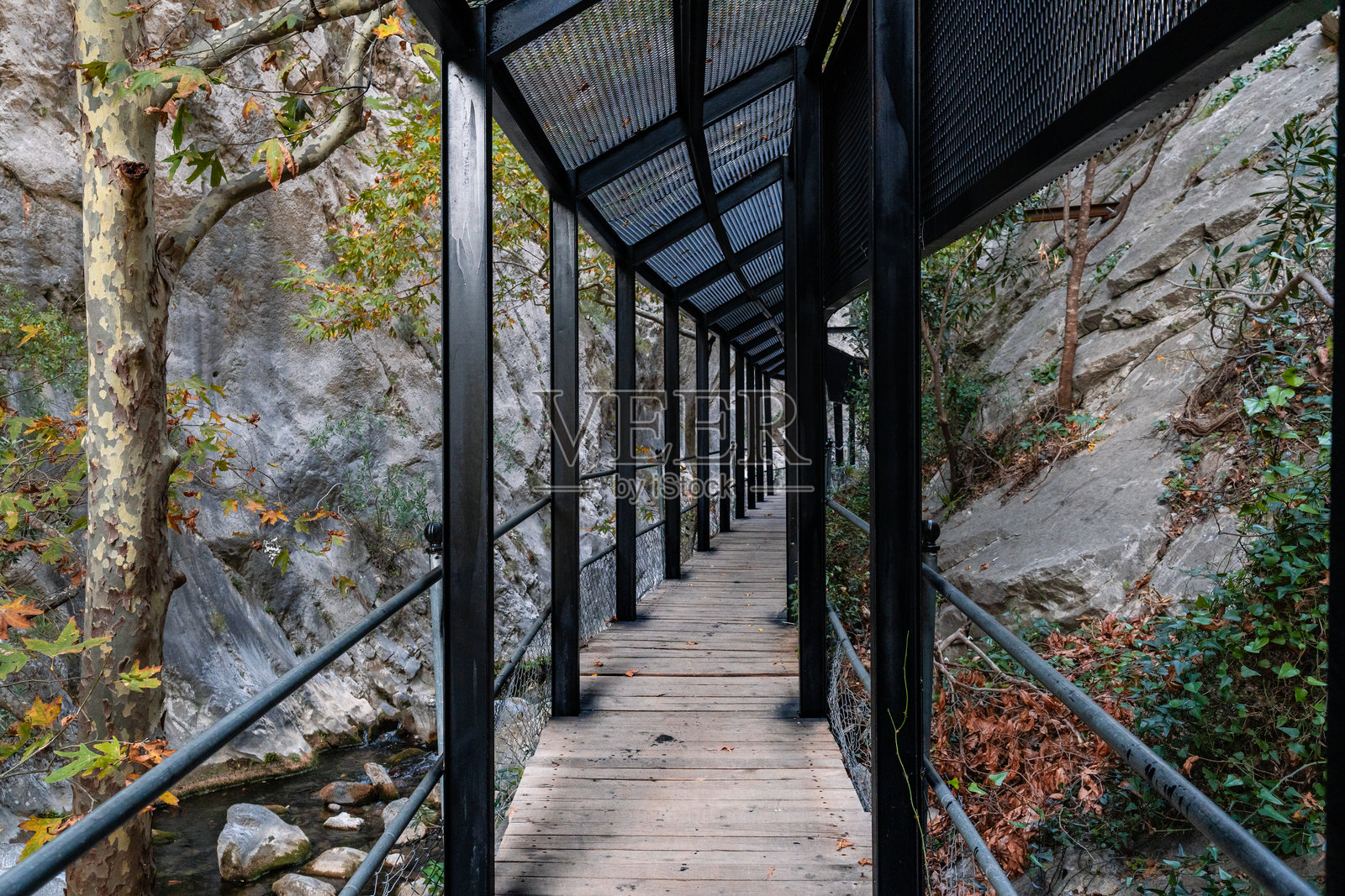 钢结构网格和木材高架步道，在自然峡谷环境中提供通行和观景照片摄影图片