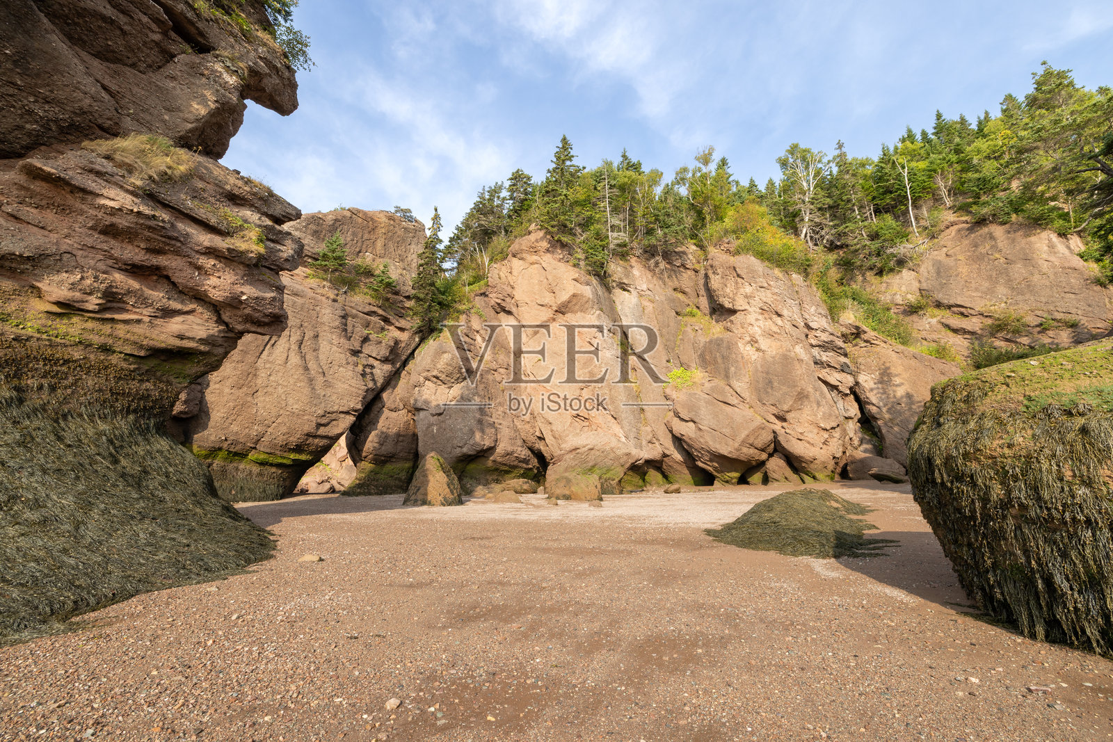 加拿大新不伦瑞克省希望湾省立公园低潮时照片摄影图片