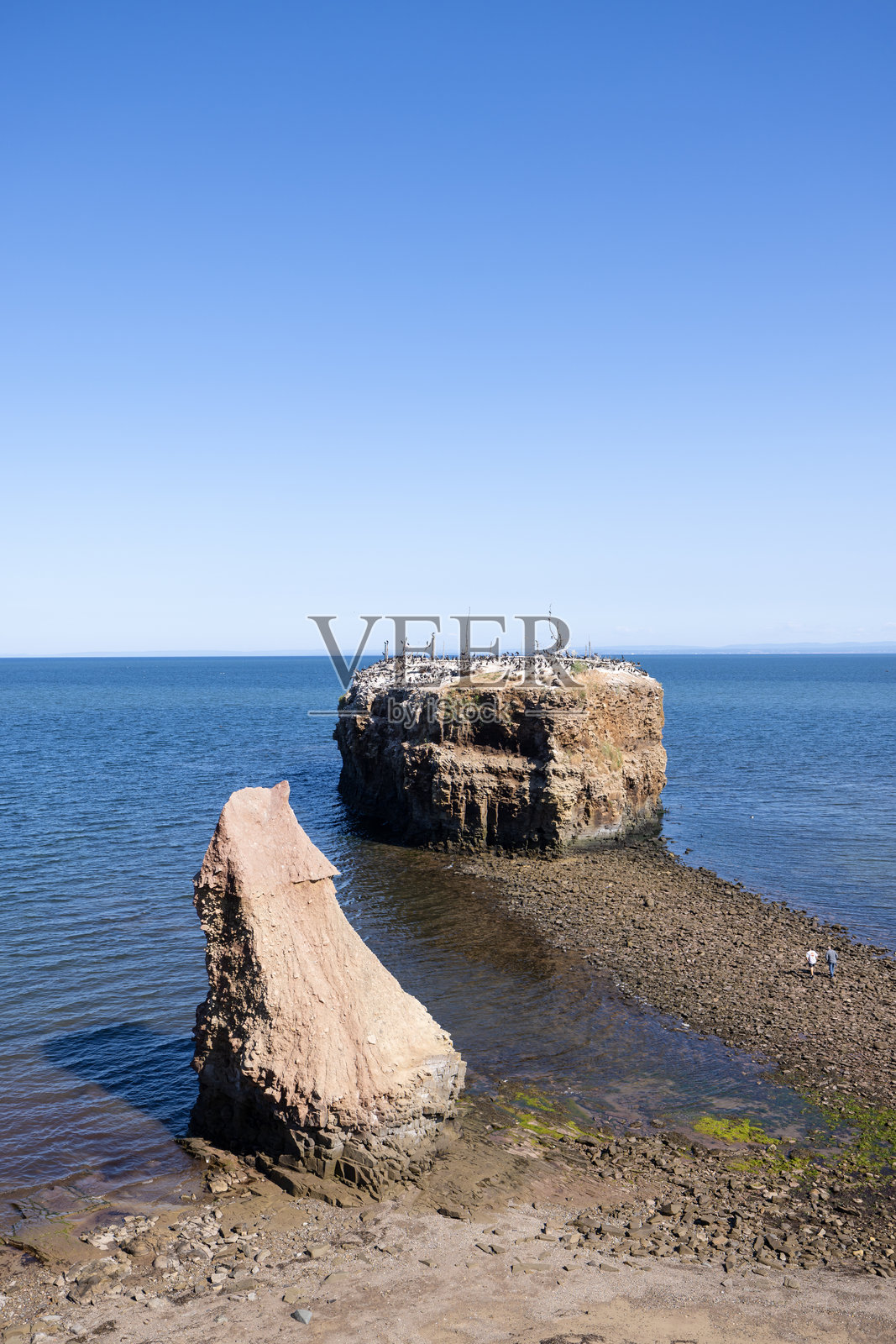 加拿大新不伦瑞克省波克肖省立公园的波克肖岩照片摄影图片