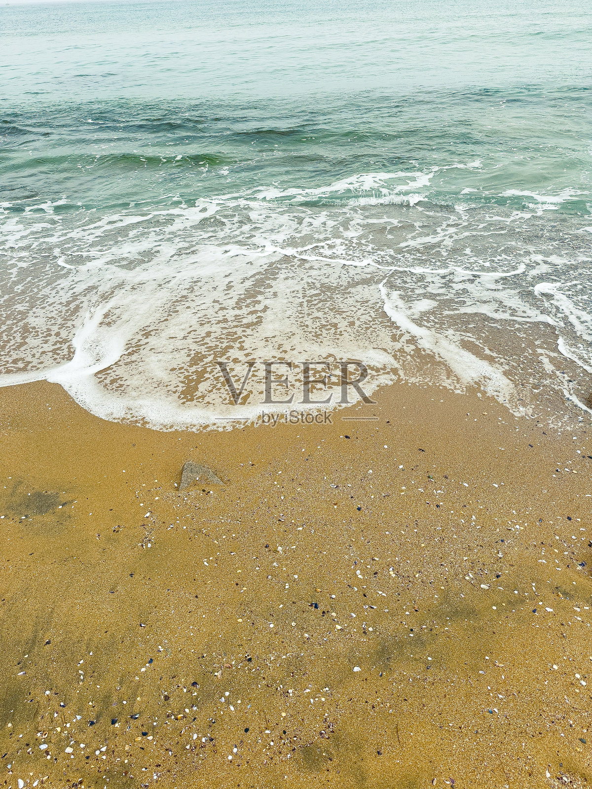 阴天时，海浪拍打着沙滩，近岸处有轻柔的浪花，海岸边散落着贝壳。照片摄影图片