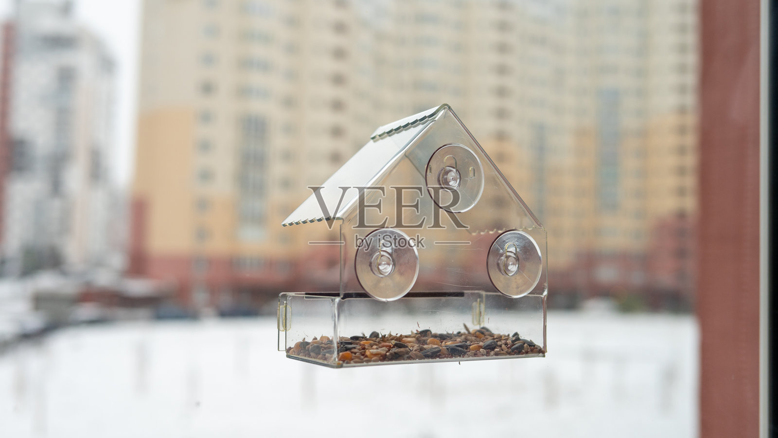 吸盘式透明窗户喂鸟器，背景为城市风光照片摄影图片
