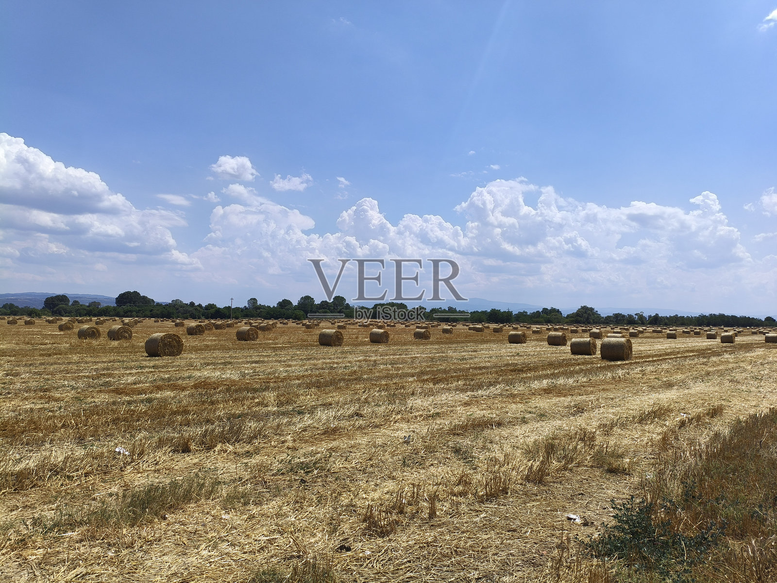 稻草田照片摄影图片