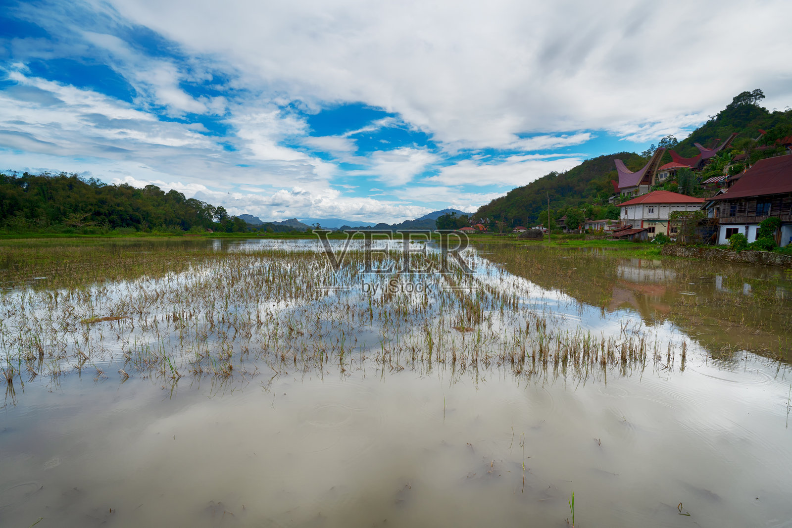 苏拉威西省南苏拉威西省，塞桑塔纳托拉查，帕林丁传统村落的风景照片摄影图片