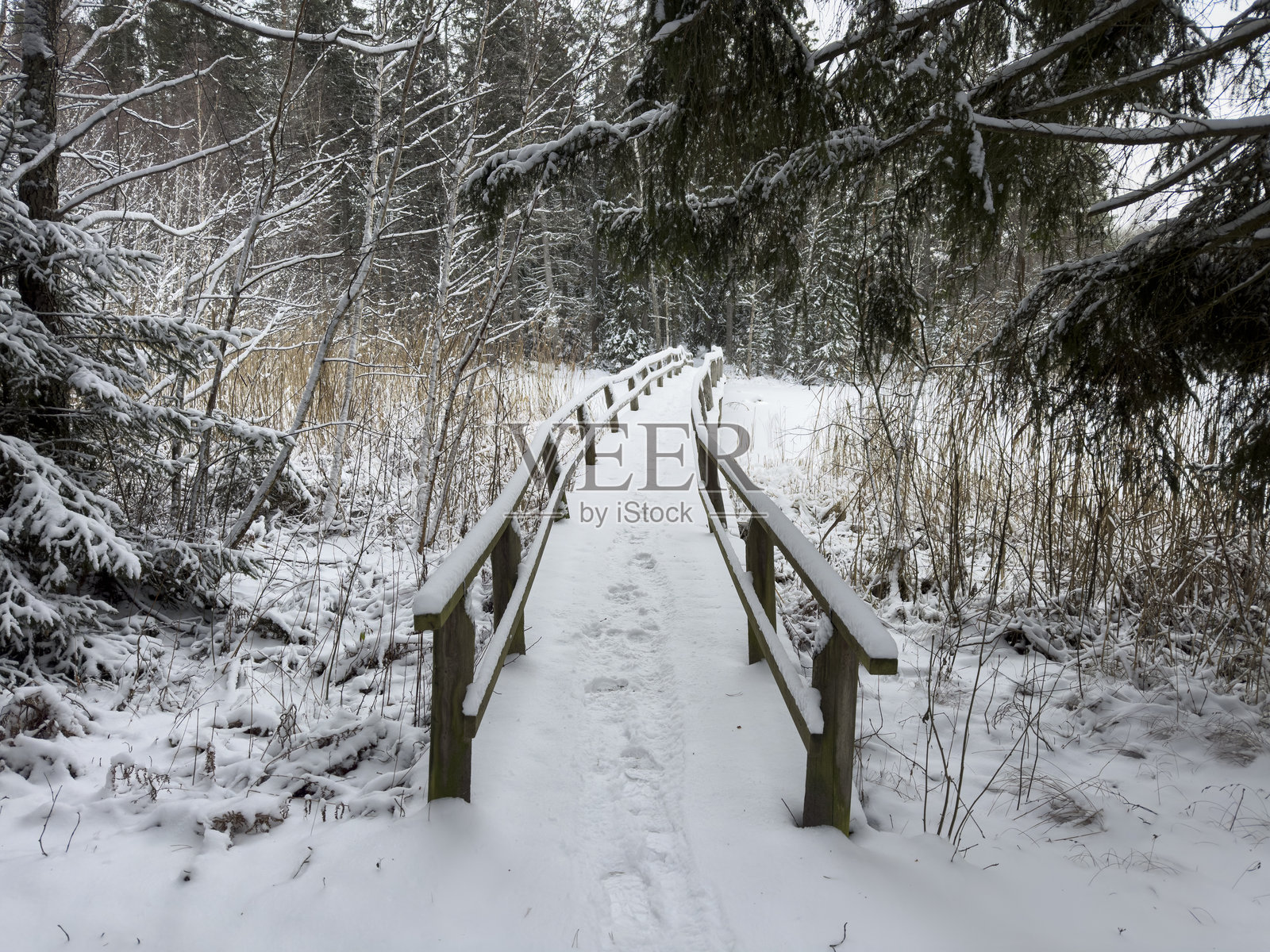 冬季瑞典的雪中木桥照片摄影图片