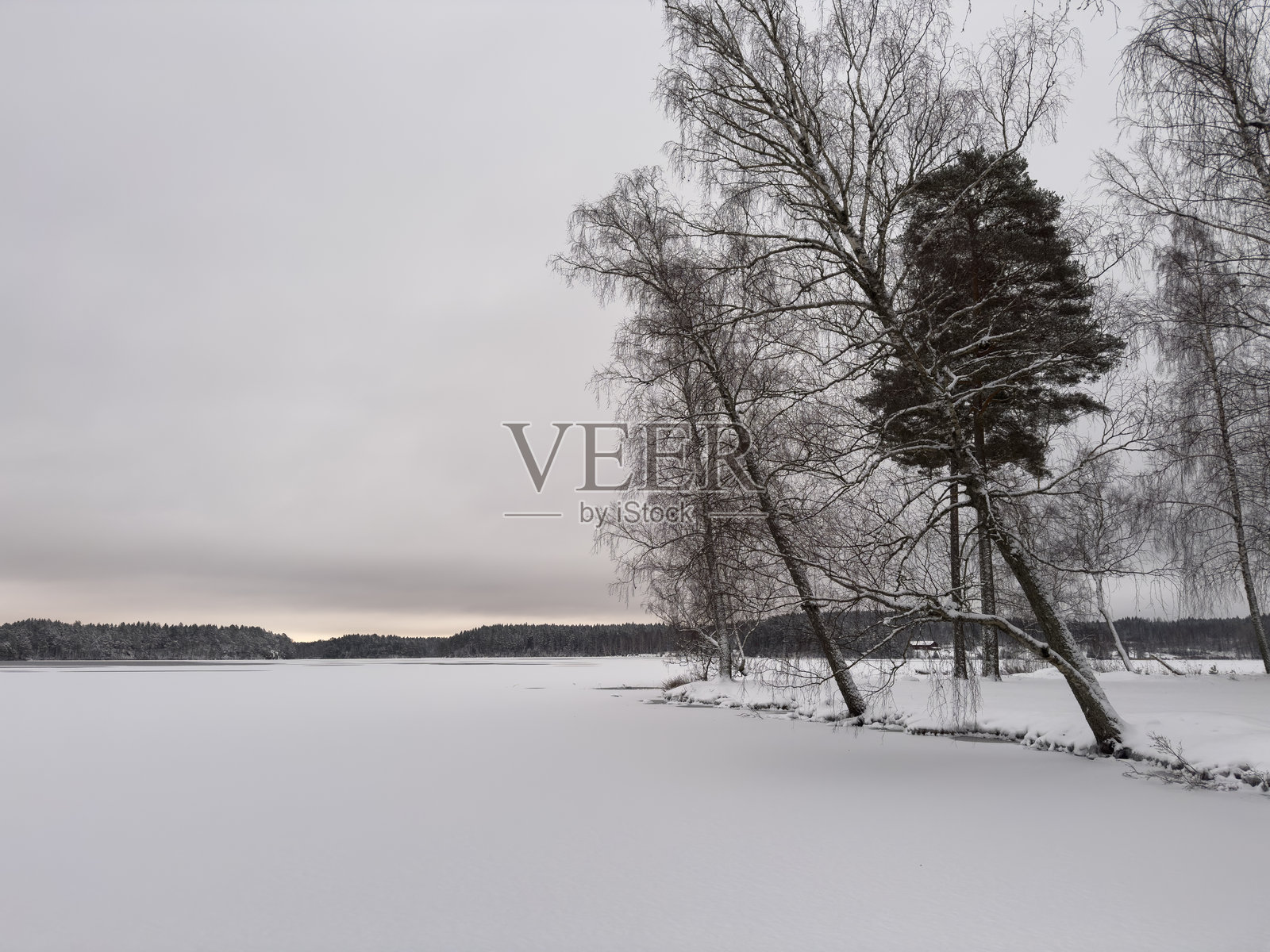 瑞典冬季的自然风光照片摄影图片