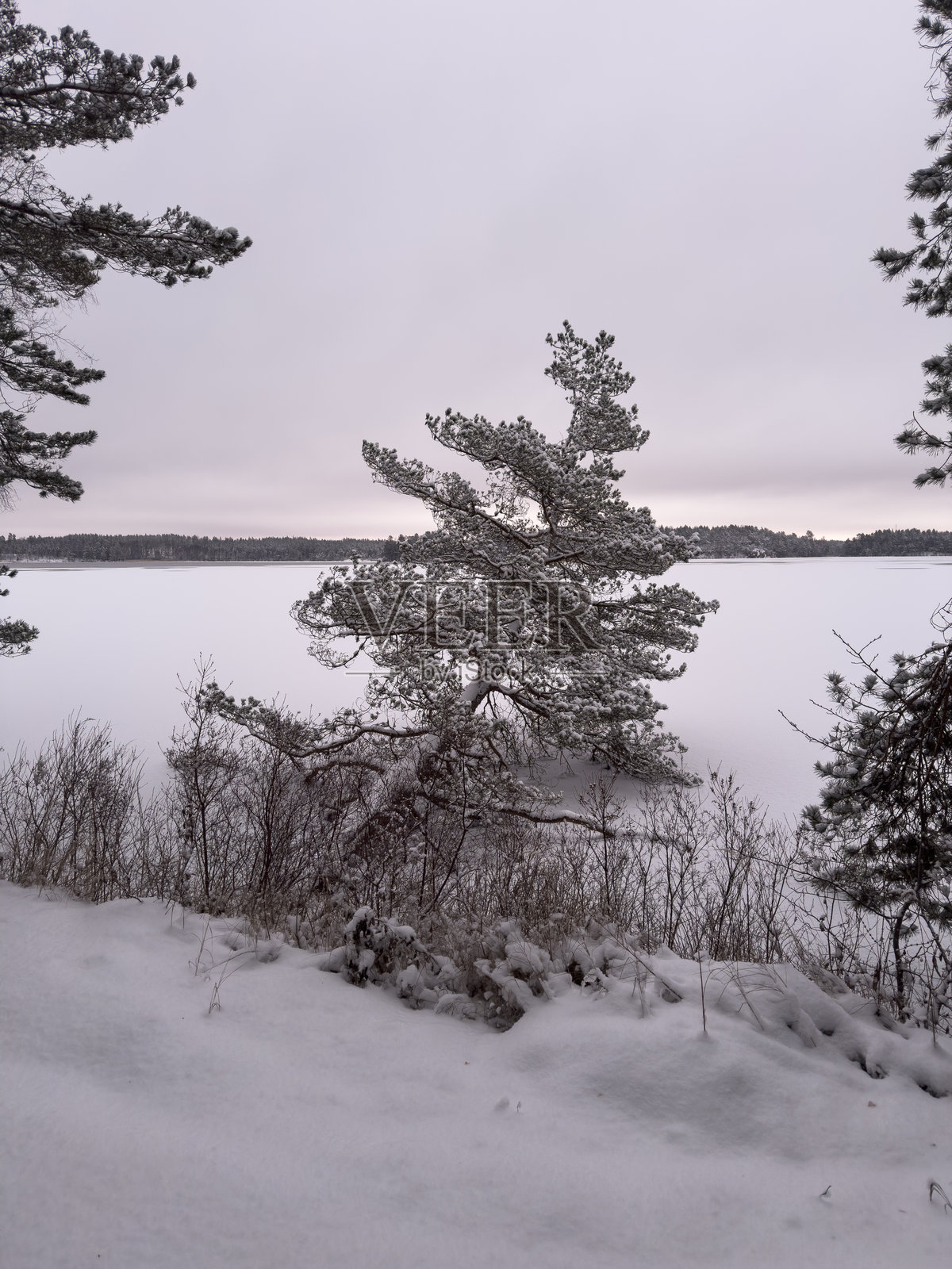 瑞典冬季的自然风光照片摄影图片