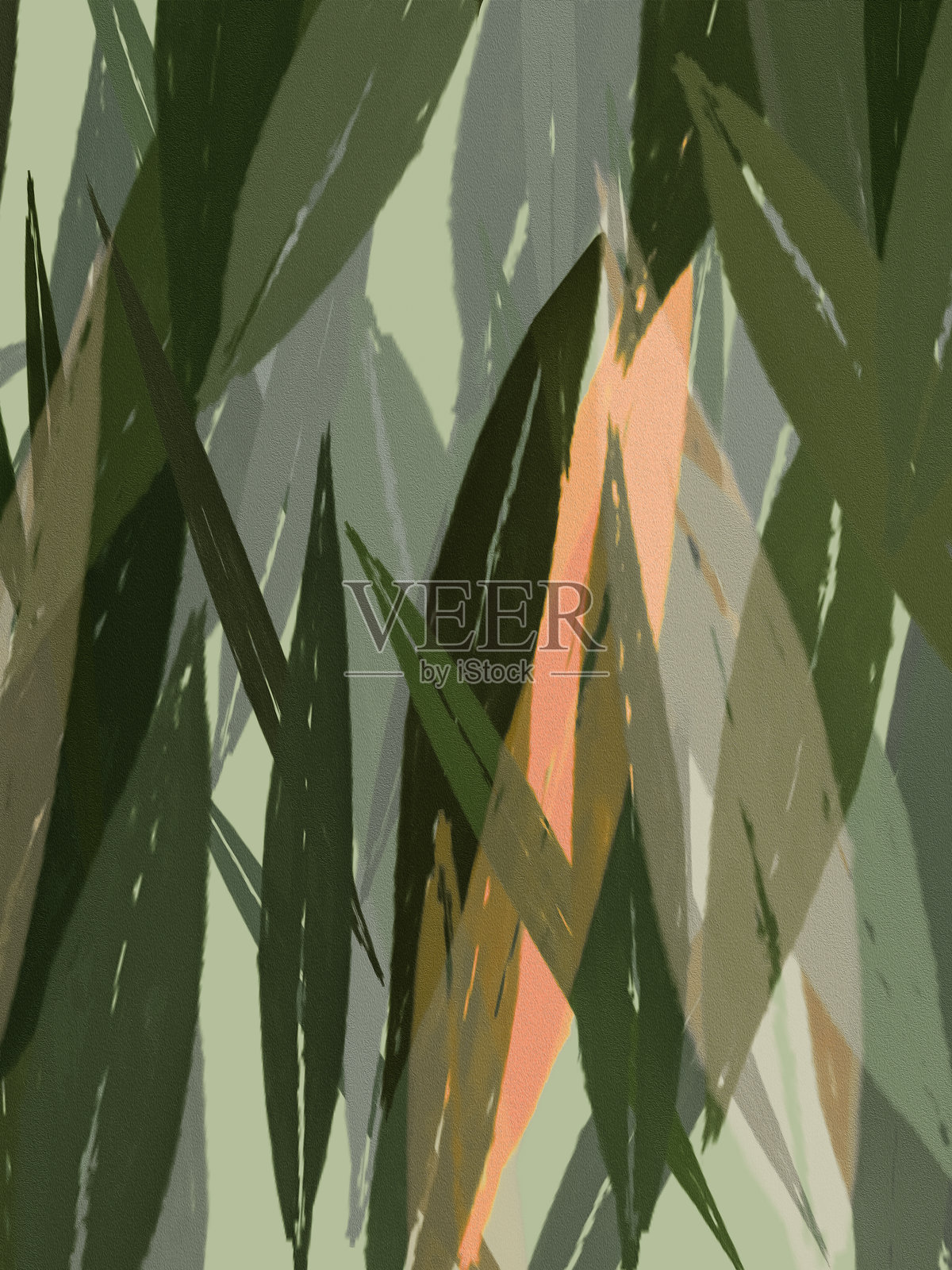 抽象的叶子和草照片摄影图片