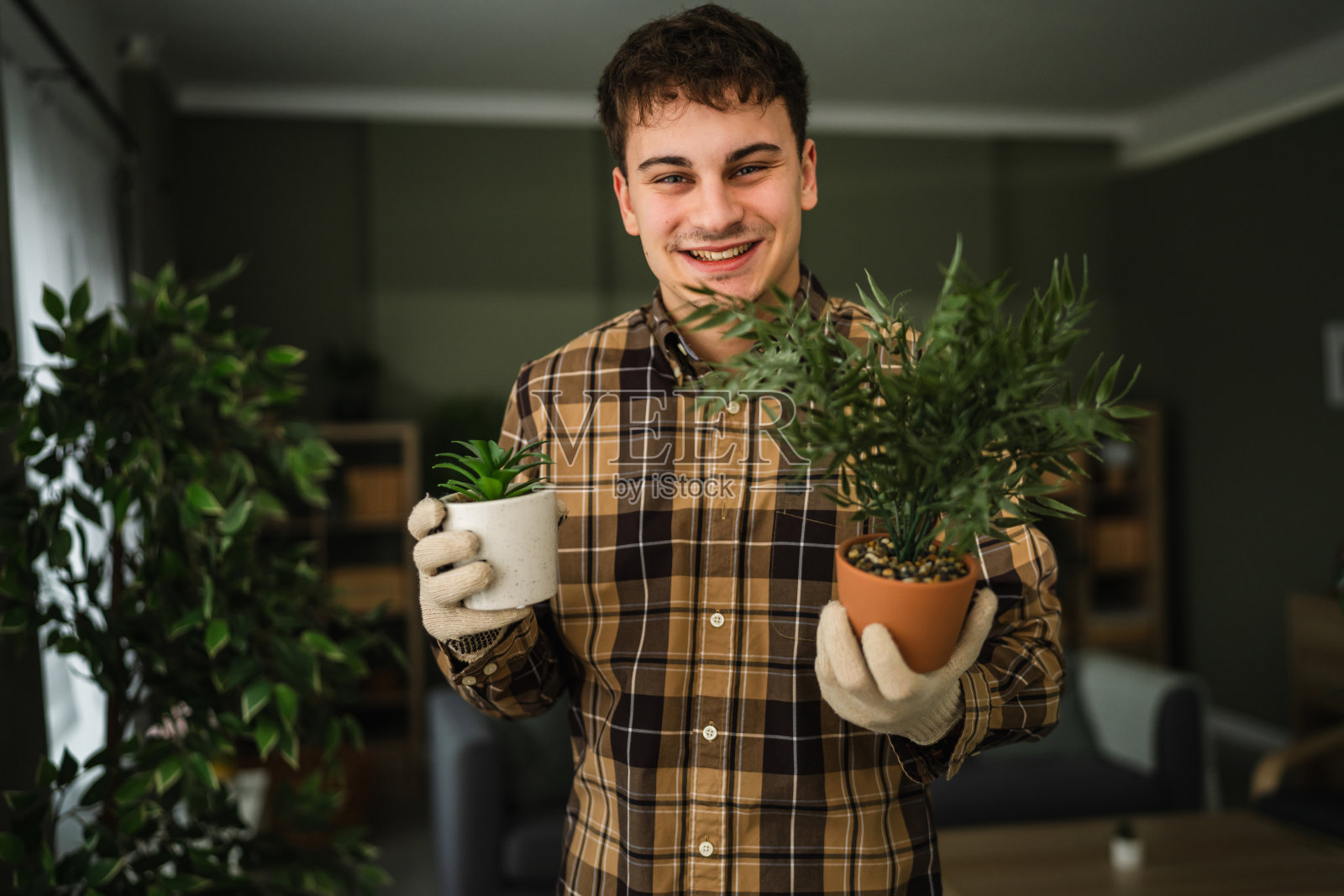 年轻男子享受居家园艺爱好，照料室内植物照片摄影图片