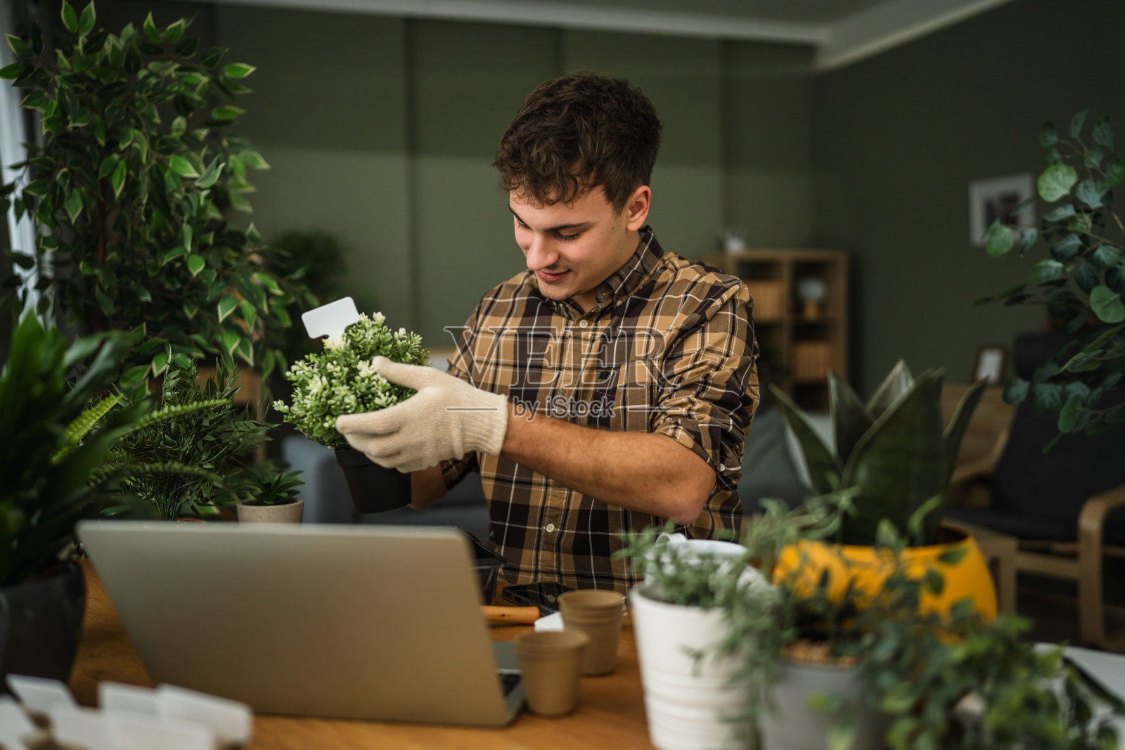 年轻人在家在线学习植物养护照片摄影图片