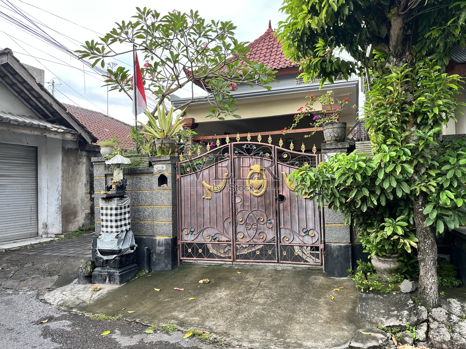 房子外面的小花园照片摄影图片