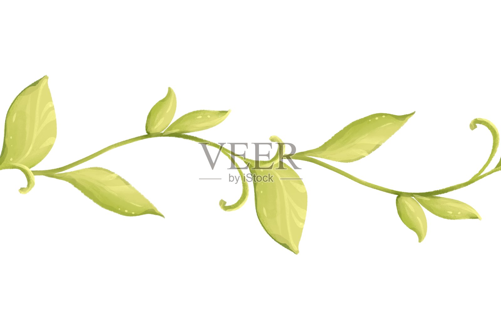 手绘绿色叶子和树枝的无缝边框插画图片素材