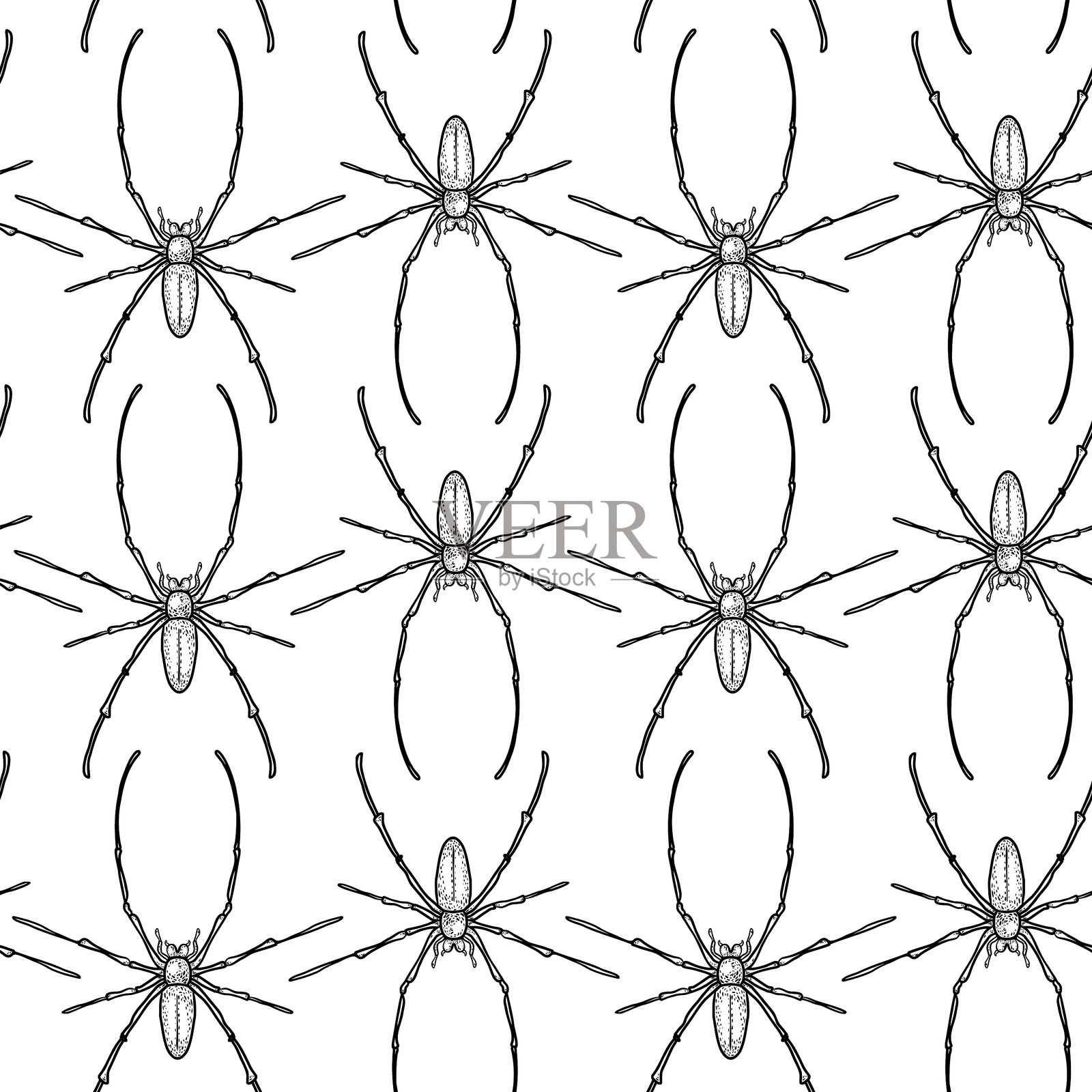 蜘蛛黑白矢量无缝图案插画图片素材