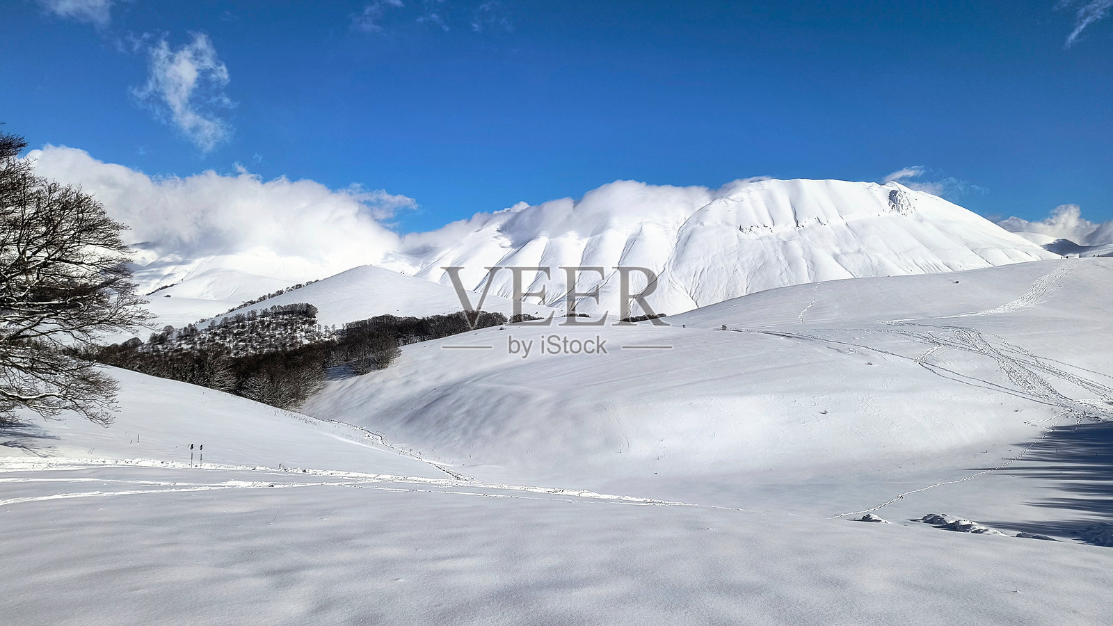 西比利尼山脉的新鲜积雪照片摄影图片