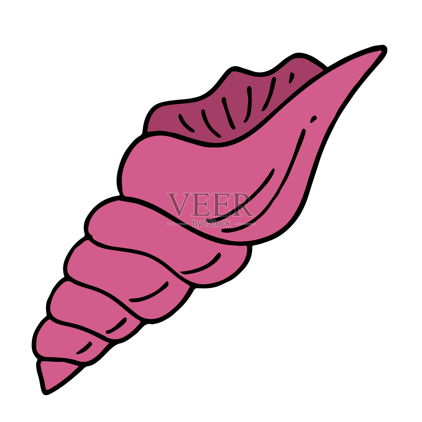 手绘贝壳插画，孤立在白色背景上插画图片素材