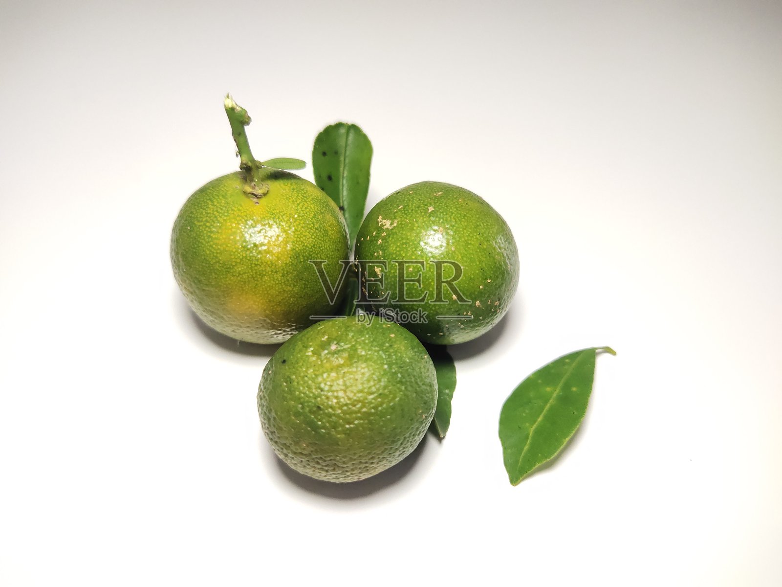 新鲜的金桔青柠照片摄影图片