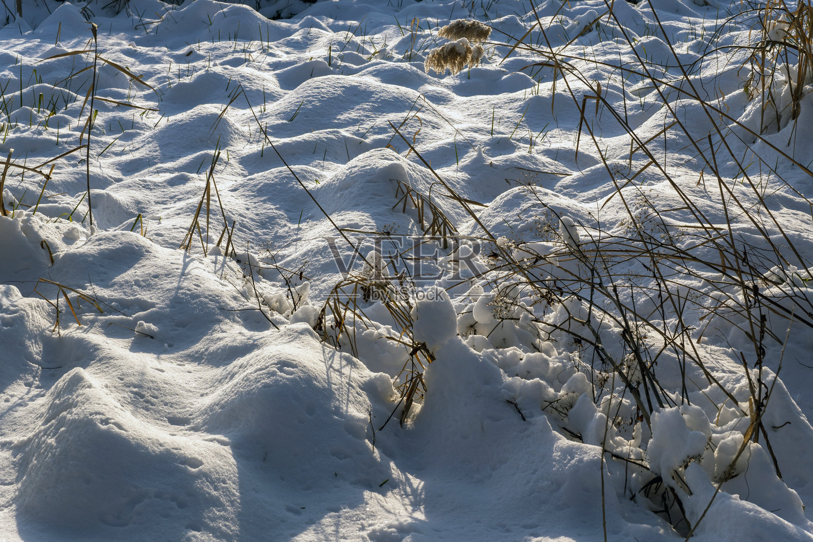 冬季阳光下，农村田野里的草地和泥土被雪覆盖着照片摄影图片