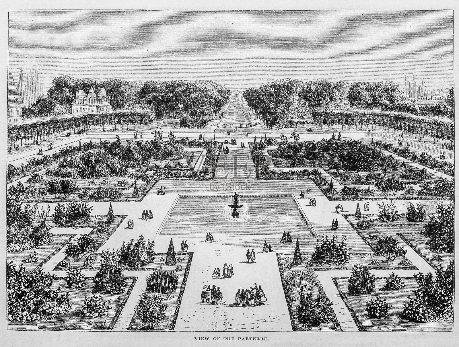 花园的地面景观插画图片素材