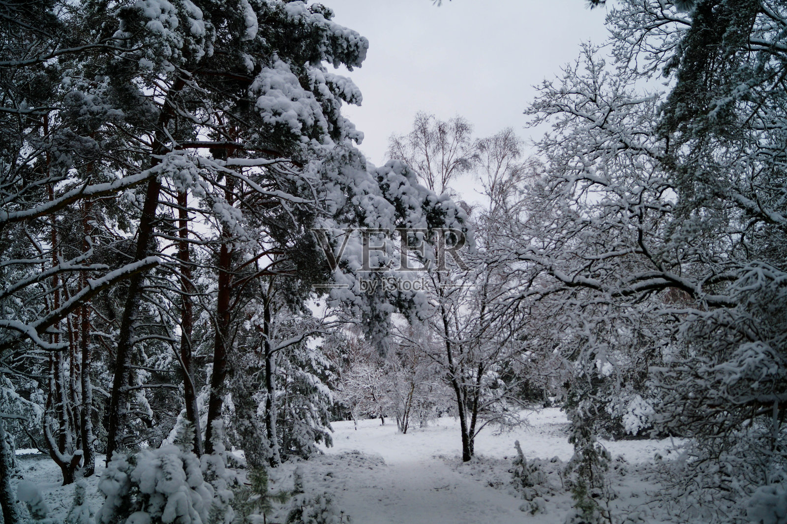 费什贝克的冬天照片摄影图片
