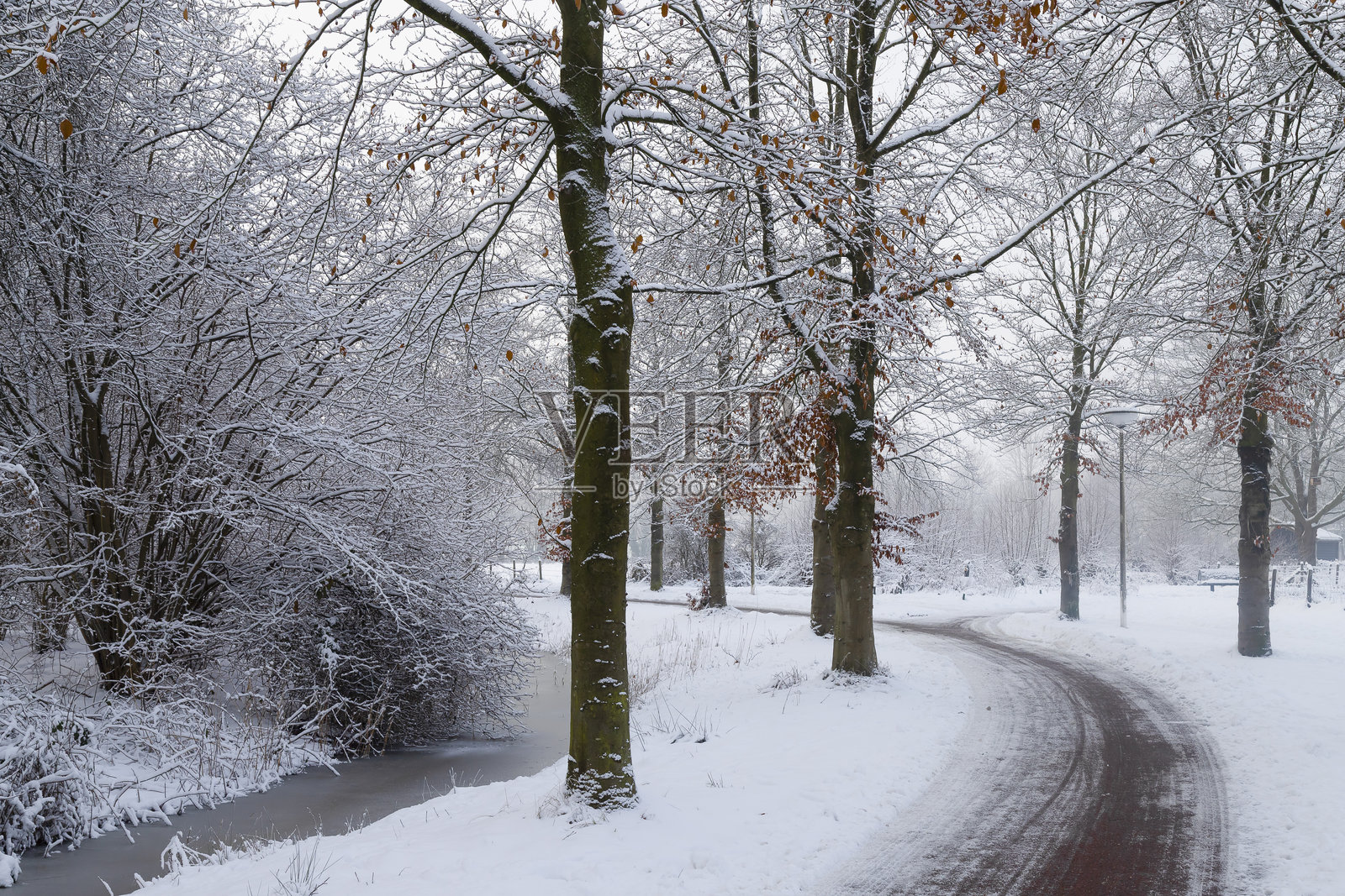 阿默斯福特斯科特霍斯特公园，雪后的树林旁自行车道照片摄影图片