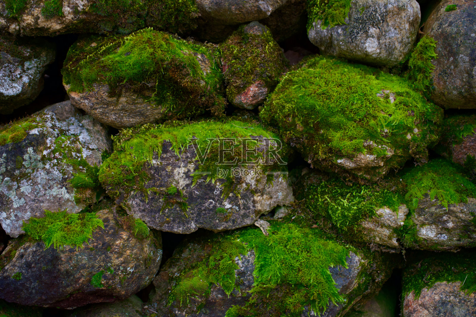 长满苔藓的石砌围墙照片摄影图片