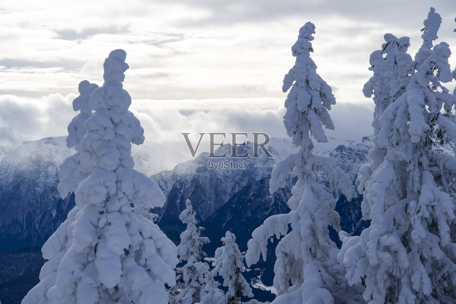 冬季仙境，波斯塔瓦鲁山，罗马尼亚照片摄影图片