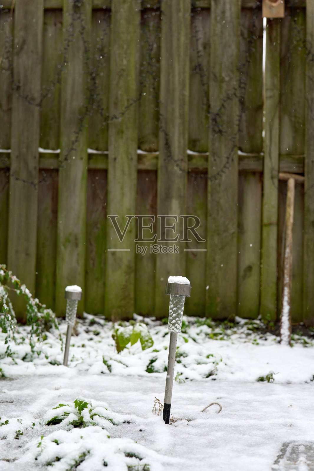 冬季花园里，雪花飘落在太阳能灯上照片摄影图片