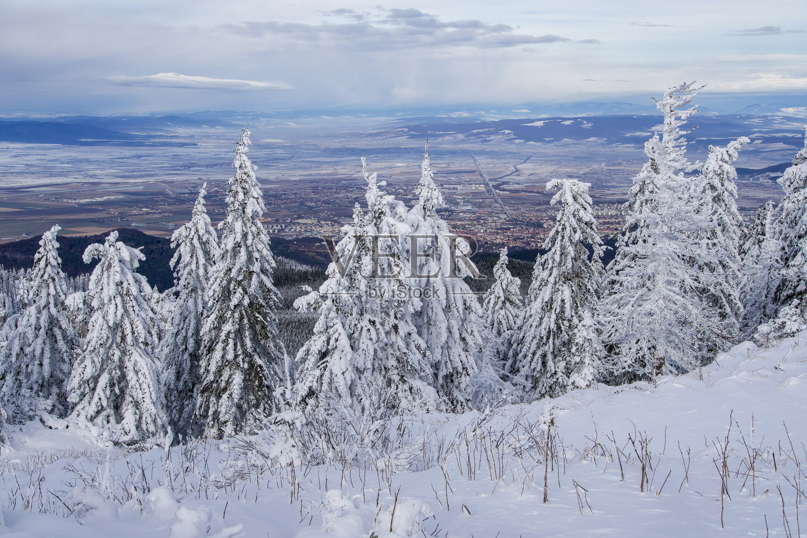 冬日仙境，波斯塔瓦鲁山，罗马尼亚照片摄影图片