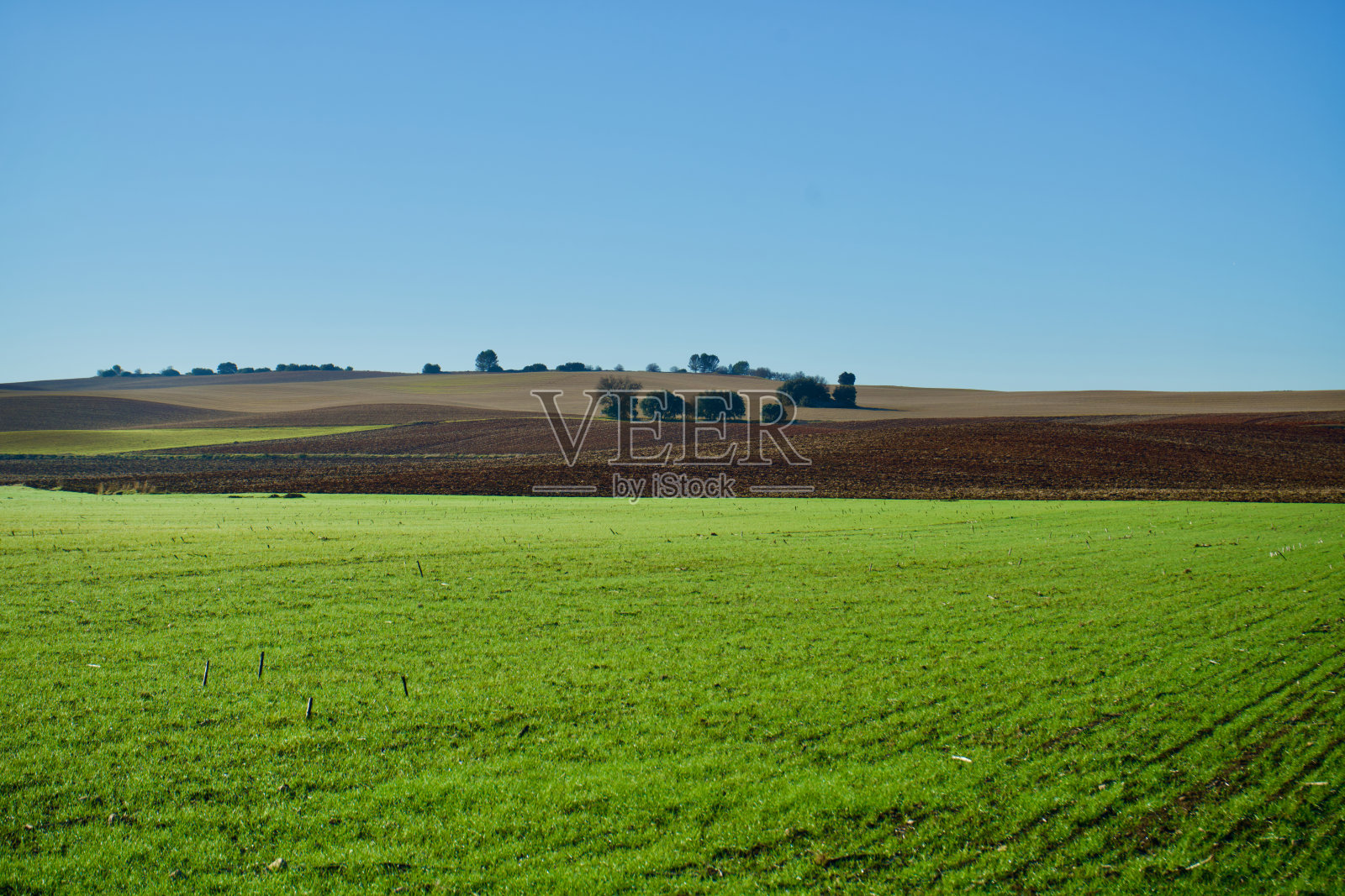西班牙昆卡省的农田照片摄影图片