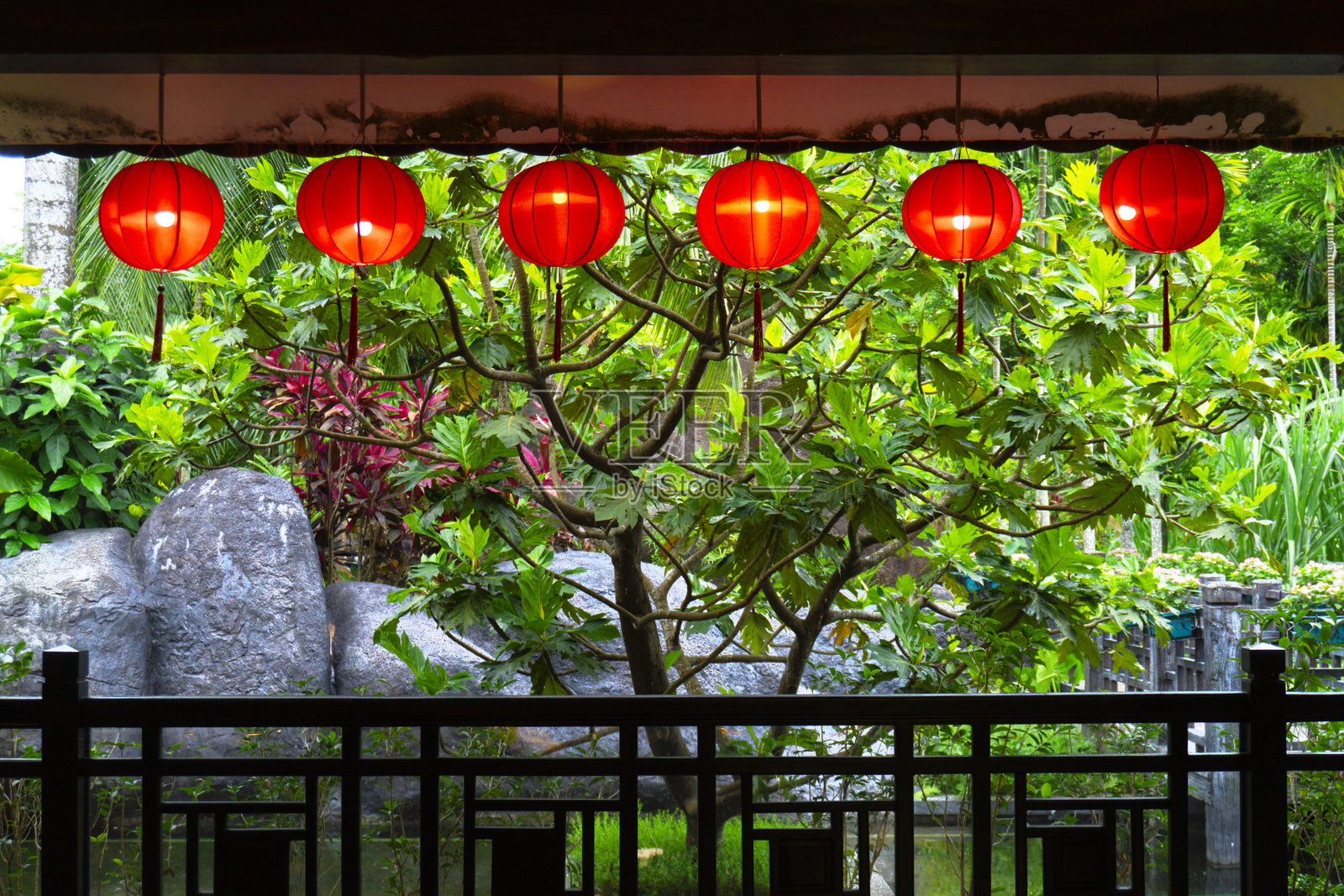 一排红灯笼挂在树上照片摄影图片