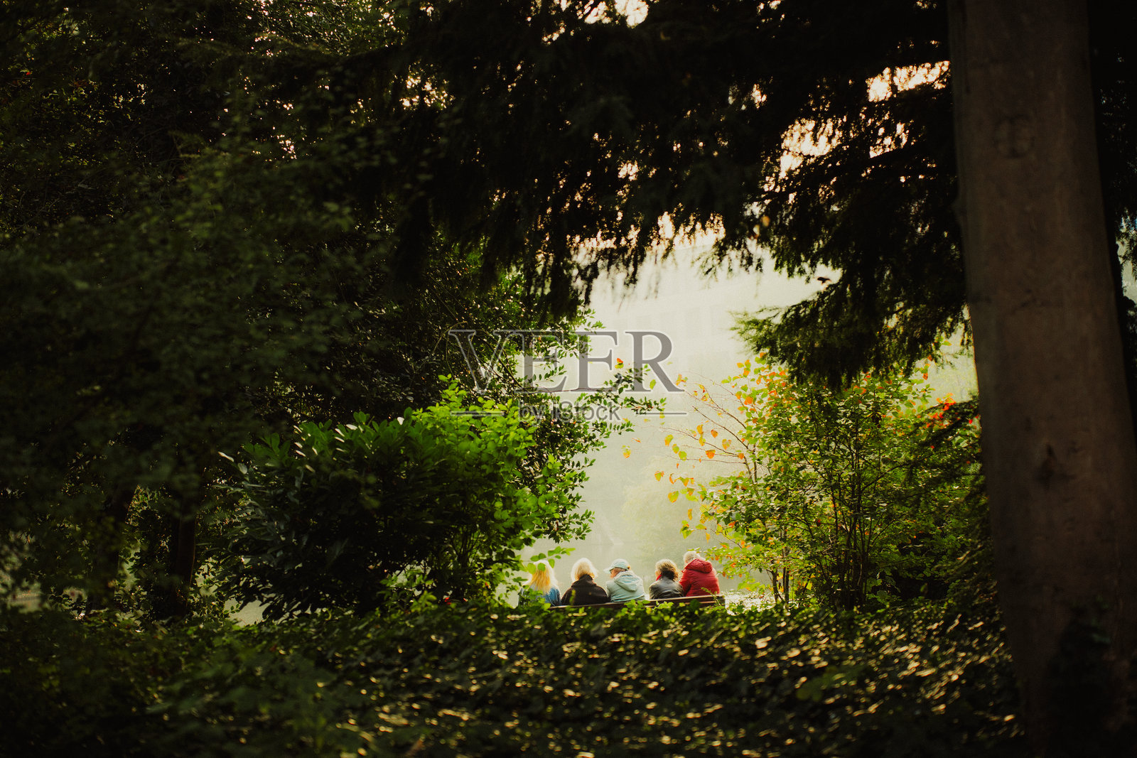 公园的电影感画面照片摄影图片