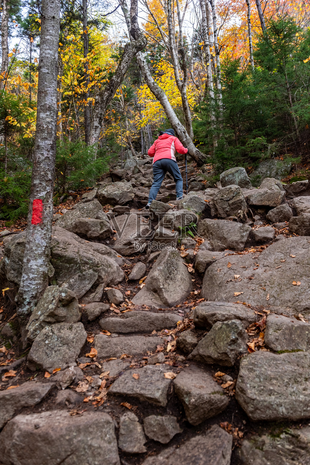 失落河谷景观 - 秋季色彩斑斓的山林中道路的景象，美国新罕布什尔州林肯市照片摄影图片