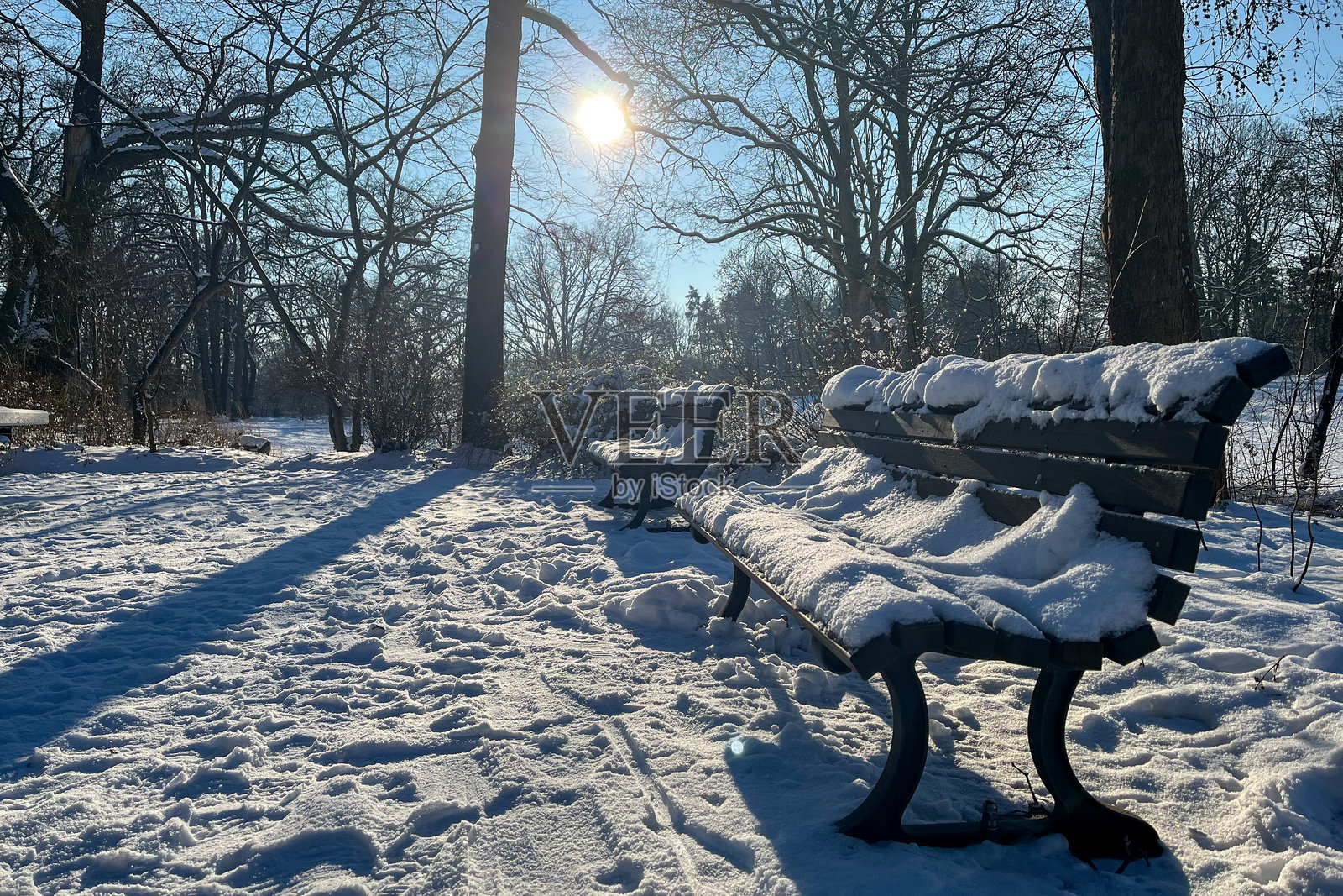 柏林哈森海德公共公园里，在美丽的晴朗冬日，公园长椅上覆盖着皑皑白雪照片摄影图片