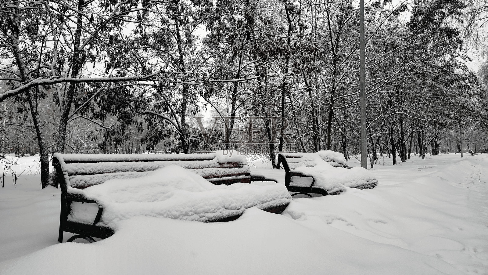 雪后种植园公园小径景观照片摄影图片