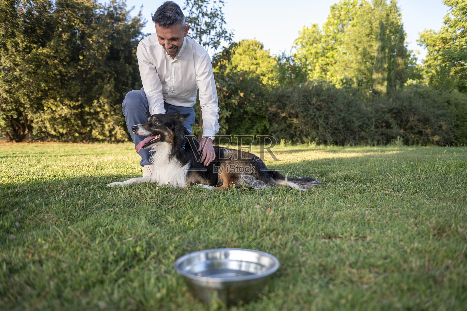 男人在公园里抚摸一只快乐的边境牧羊犬照片摄影图片
