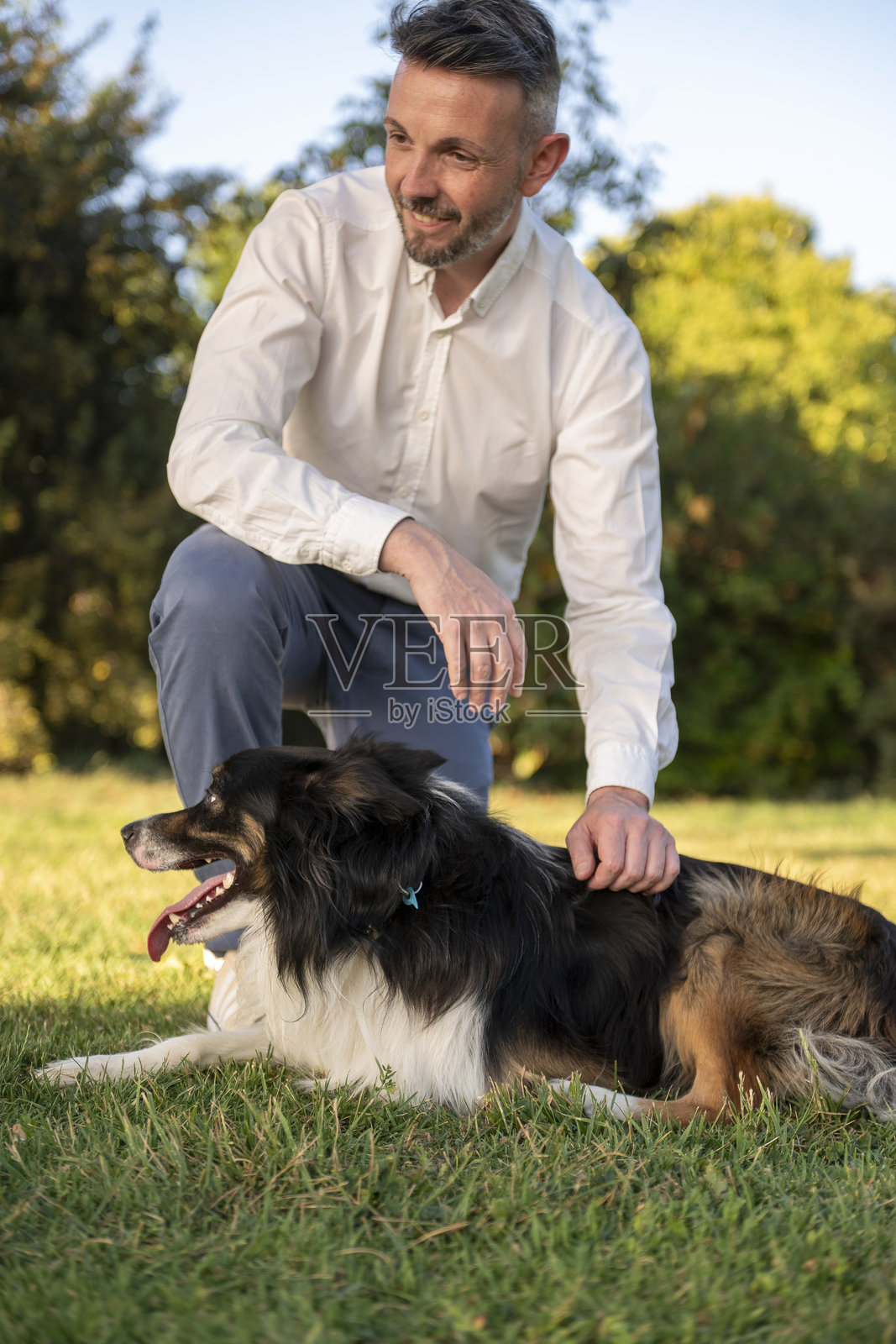 男人在公园里抚摸一只快乐的边境牧羊犬照片摄影图片