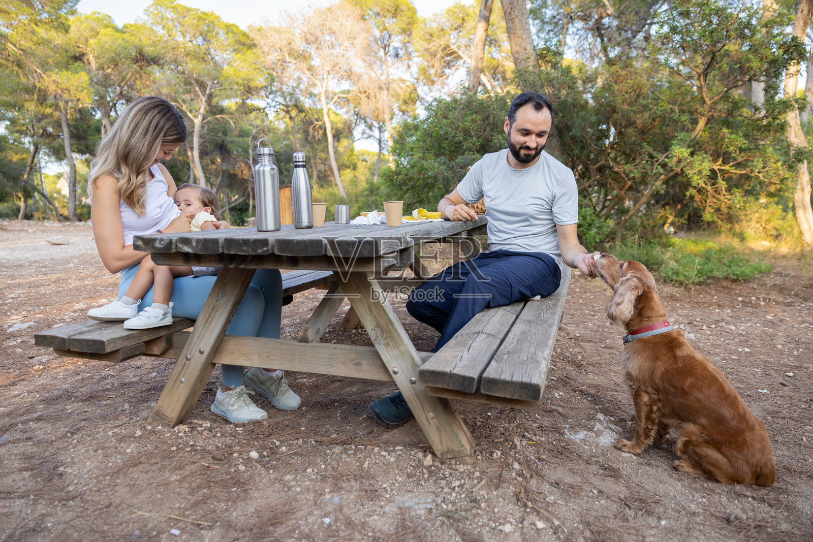 一家人在森林里野餐，母亲正在哺乳婴儿照片摄影图片