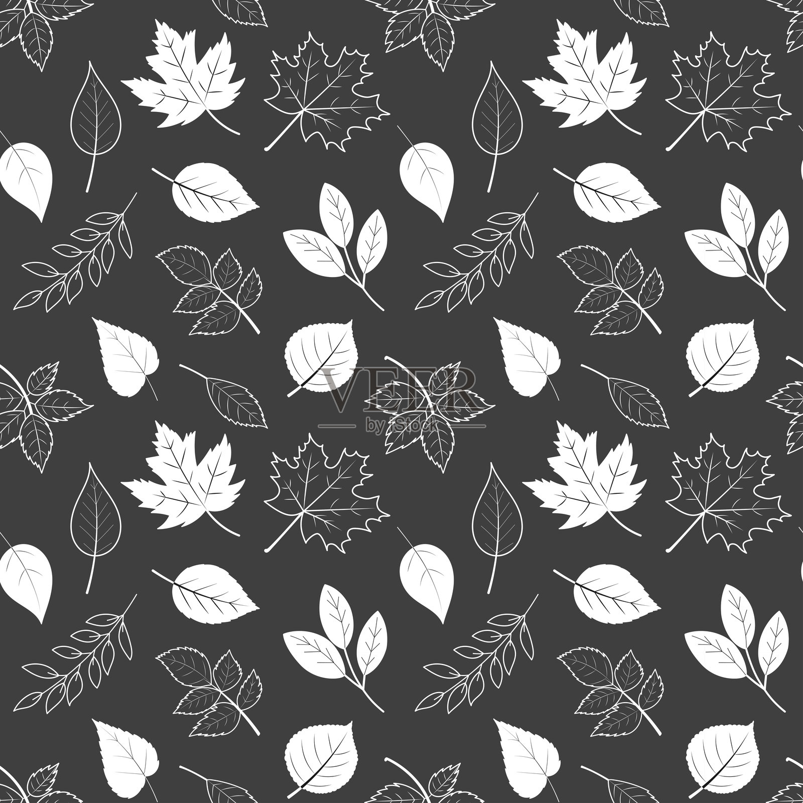 白色的秋叶图案插画图片素材