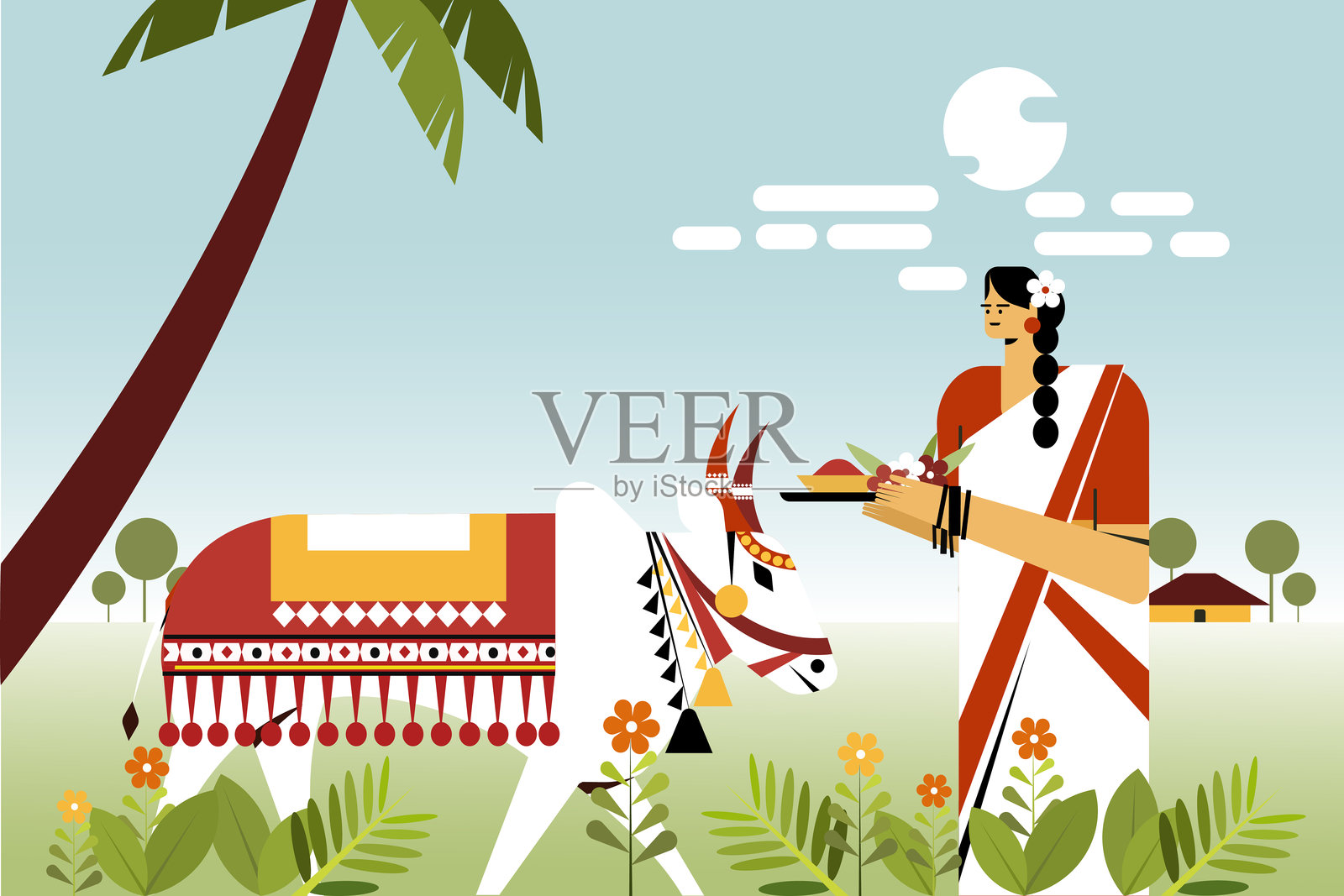 传统“Pongal”丰收节庆场景，一位身着纱丽的妇女在敬拜装饰过的牲畜，扁平化矢量插画插画图片素材