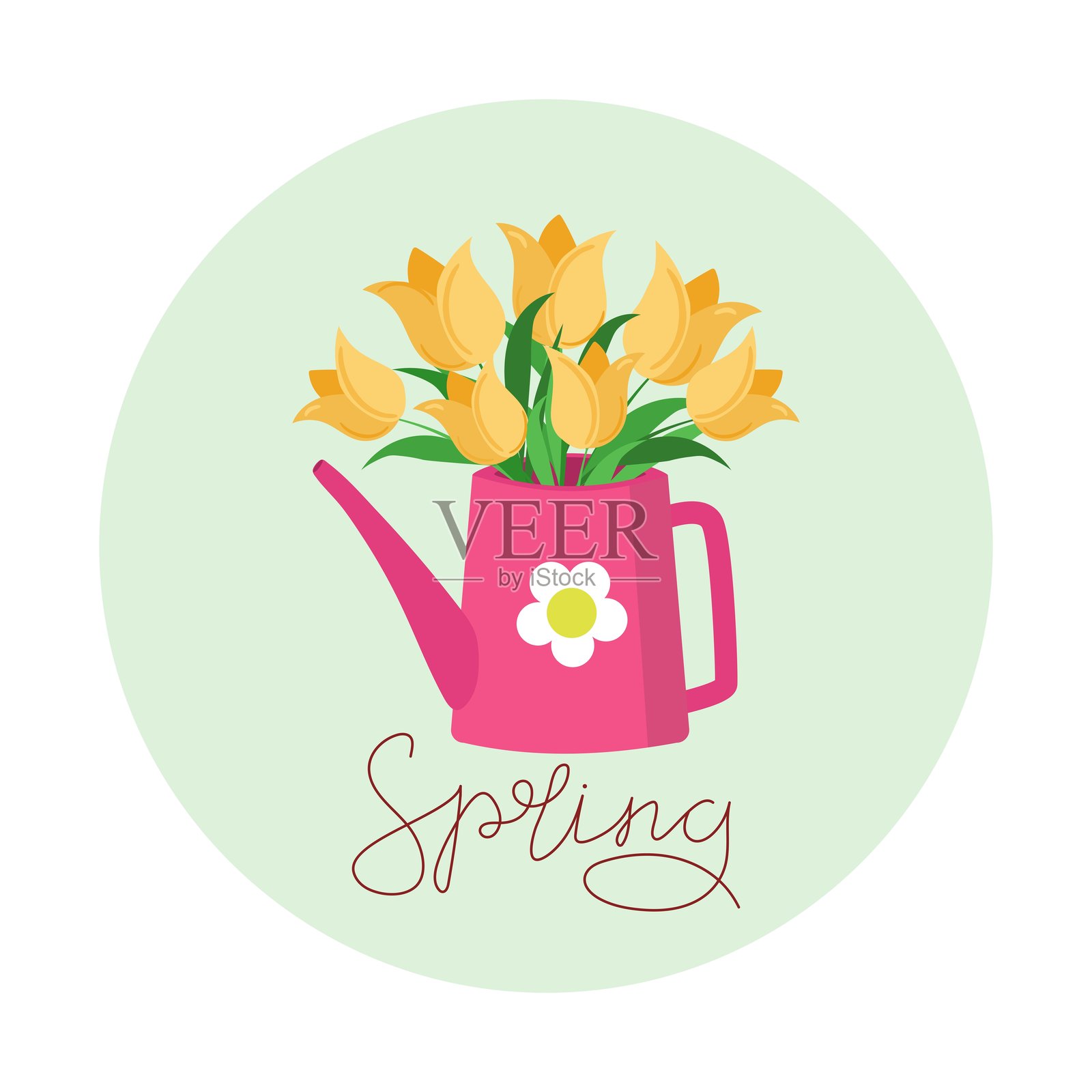 粉色喷壶里的黄色郁金香，书法题字，春天，国际妇女节，3月8日。扁平化插画，孤立在背景上。插画图片素材