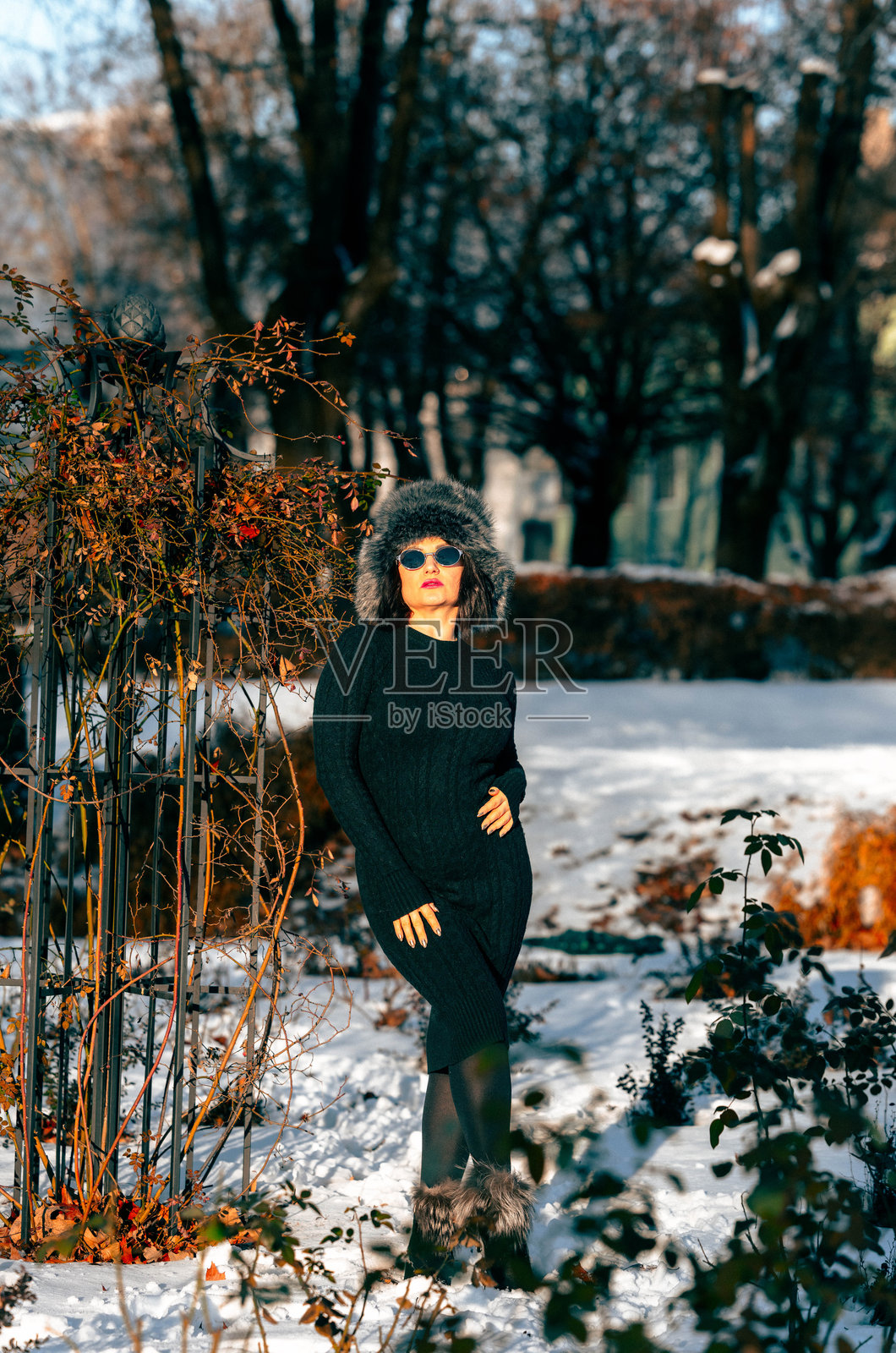 身着时尚黑色毛衣连衣裙和毛皮帽的女士自信地站在雪景花园中，周围环绕着冬季的植物，在宁静的户外环境中展现季节性的时尚与优雅。照片摄影图片