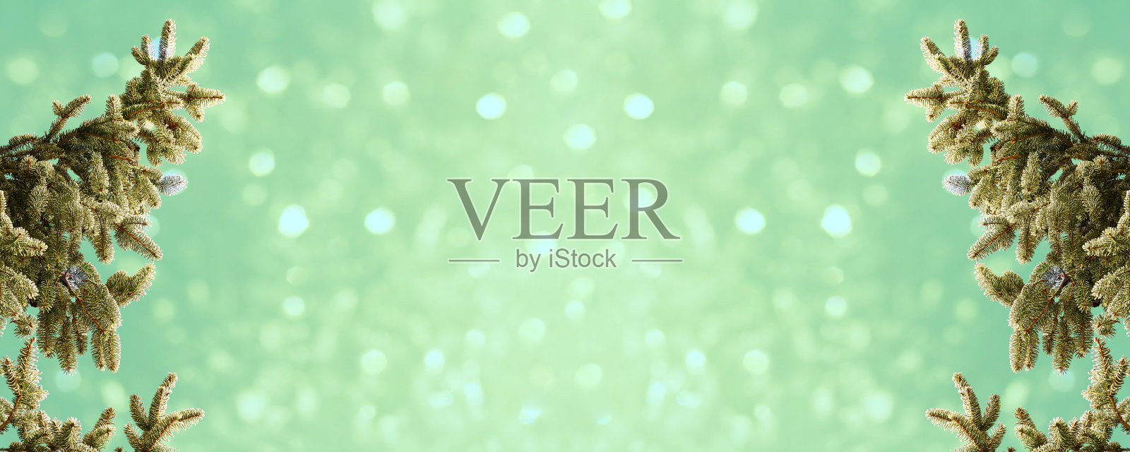 圣诞背景，带有松枝和闪亮的圆点照片摄影图片