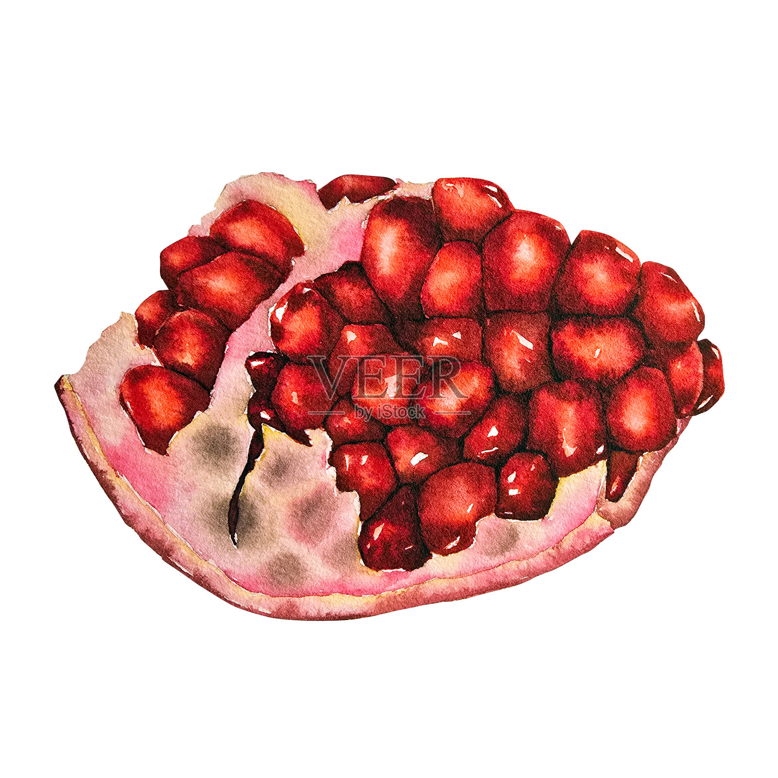 石榴的水彩插画插画图片素材