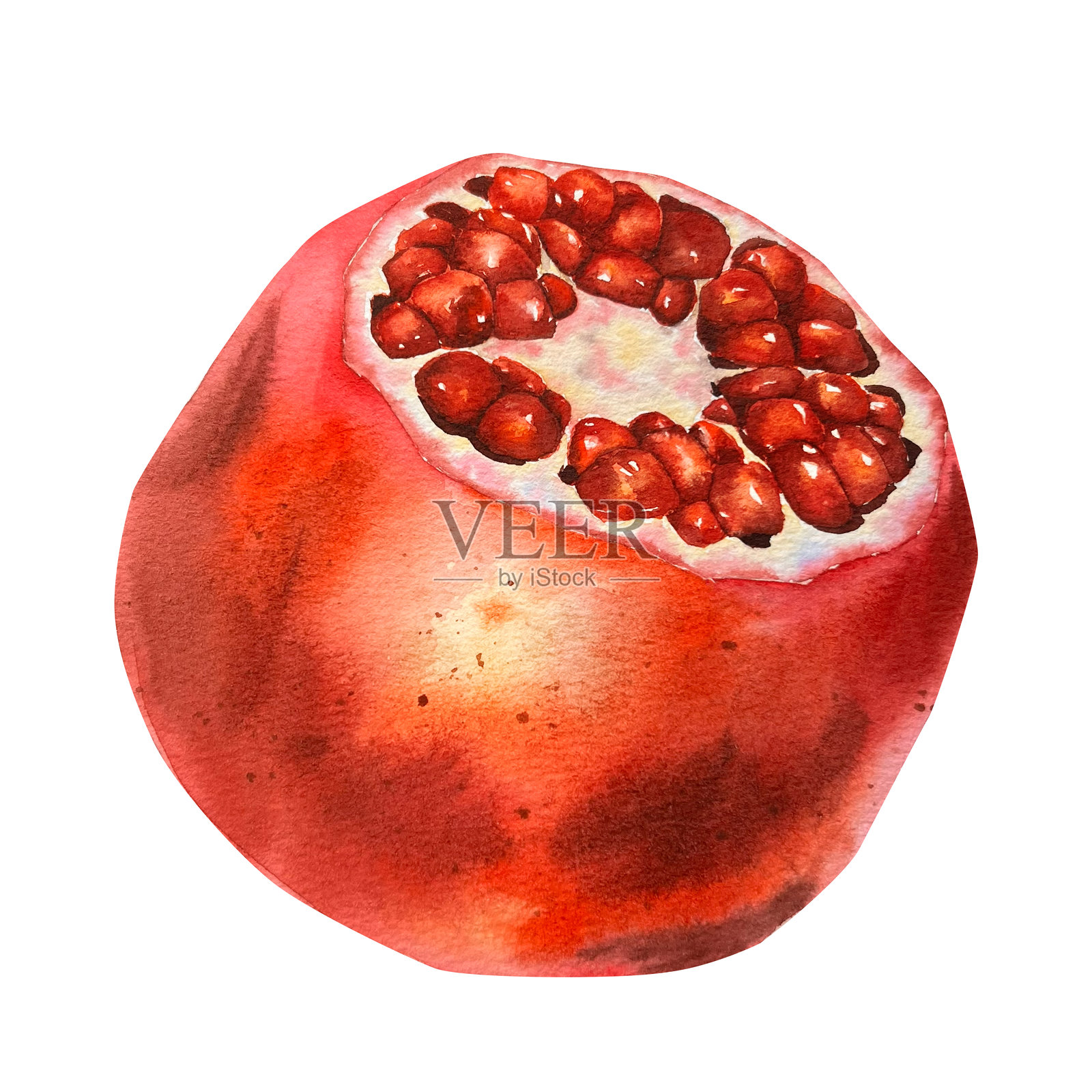 水彩插画，描绘了一只红色的插画图片素材