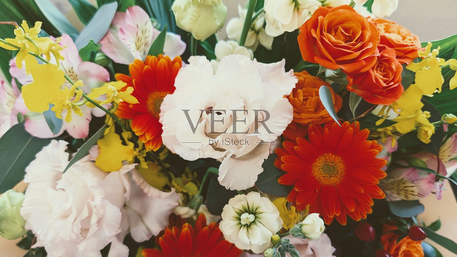 一束美丽的新鲜花束照片摄影图片