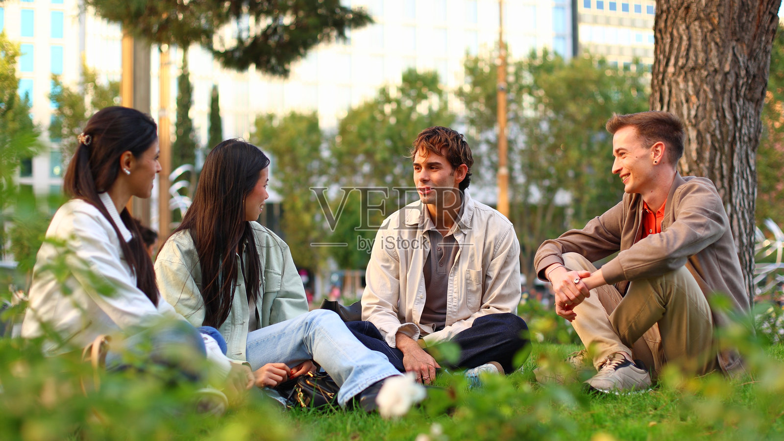 四个年轻的朋友在草地上社交照片摄影图片