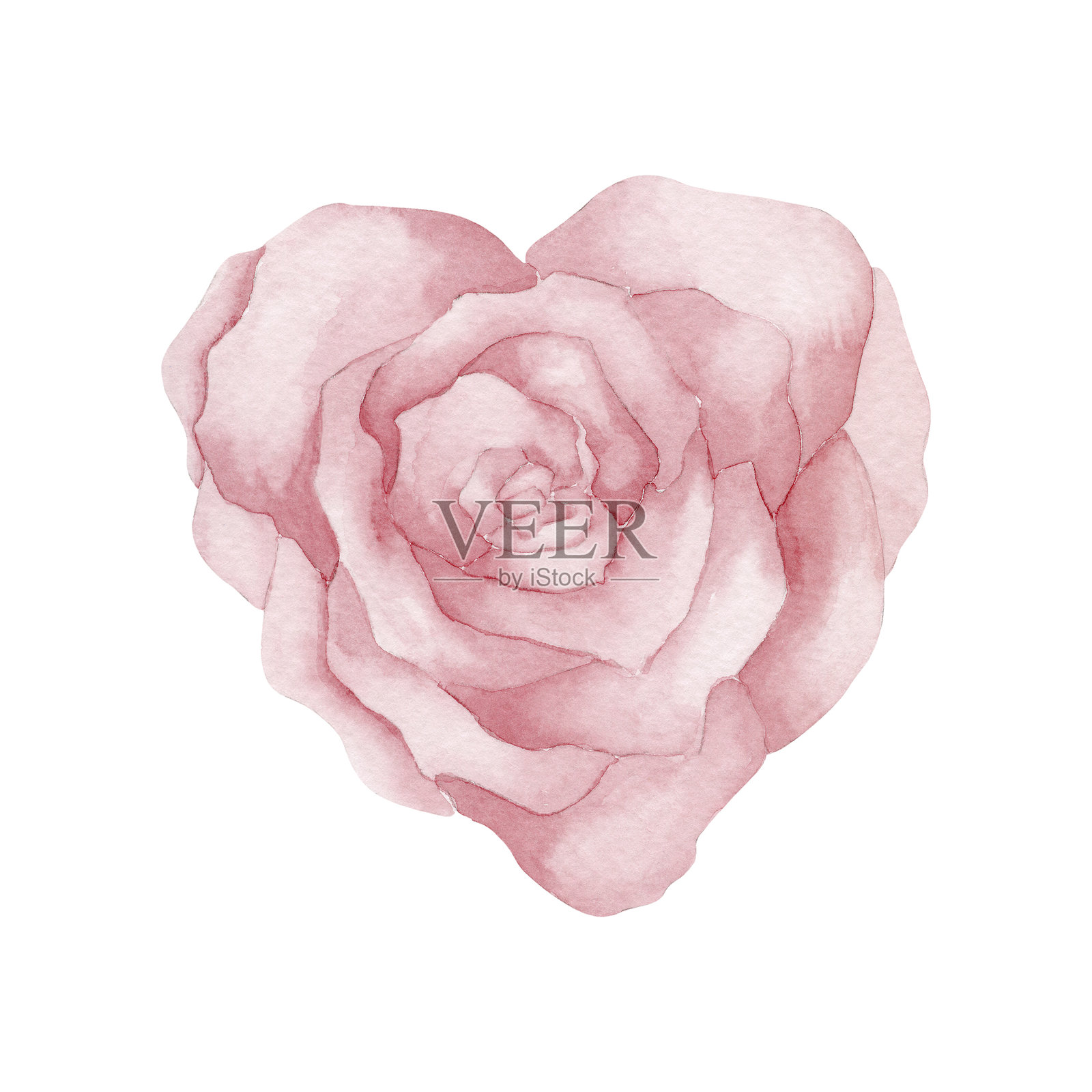 水彩玫瑰心形插画图片素材