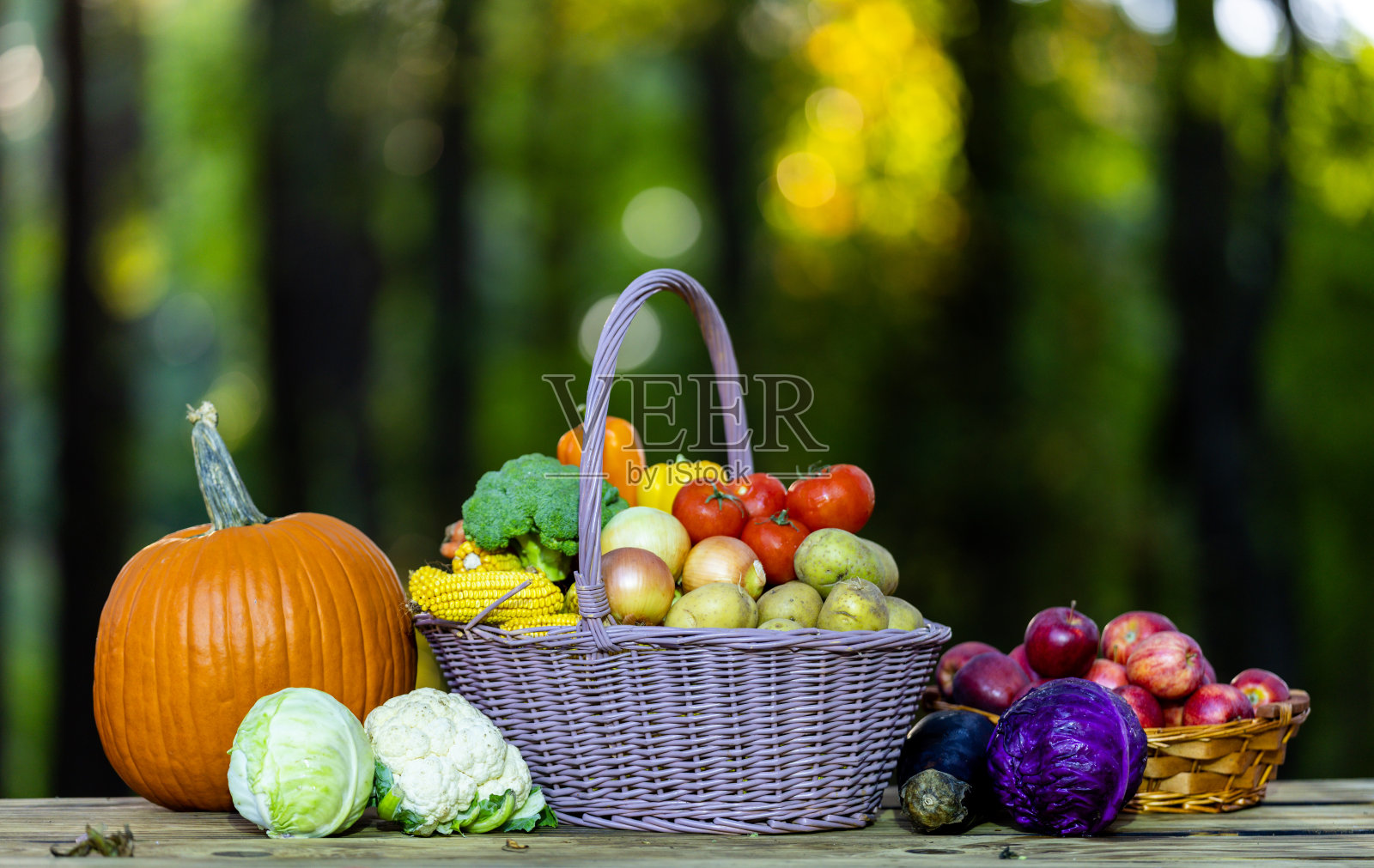 夏日丰收。生态农场采摘的新鲜蔬菜。装满新鲜采摘蔬菜的篮子。有机采摘，健康餐食。新鲜收获。自然农场种植。照片摄影图片
