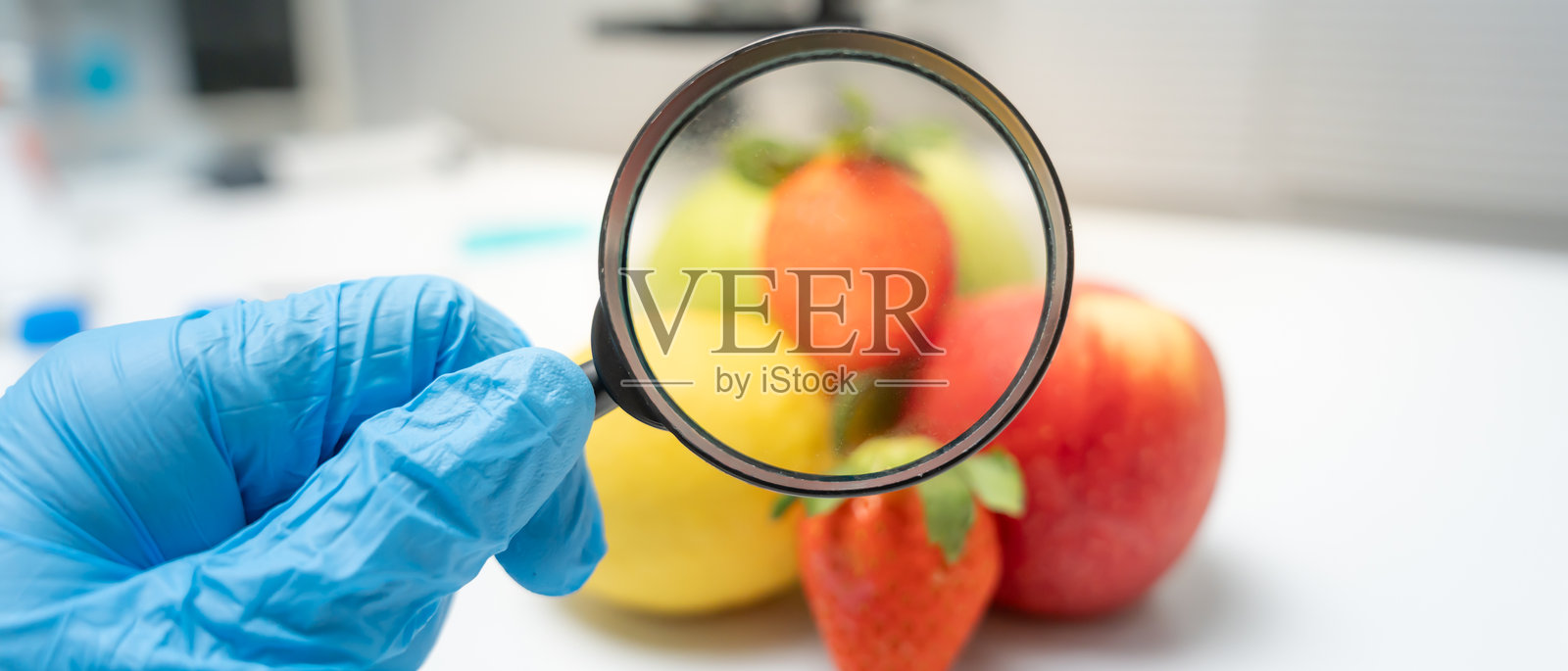 科学家在实验室使用放大镜检查水果和蔬菜残留物中的化学物质，以检测化学残留物的浓度、标准，并查找违禁物质。照片摄影图片